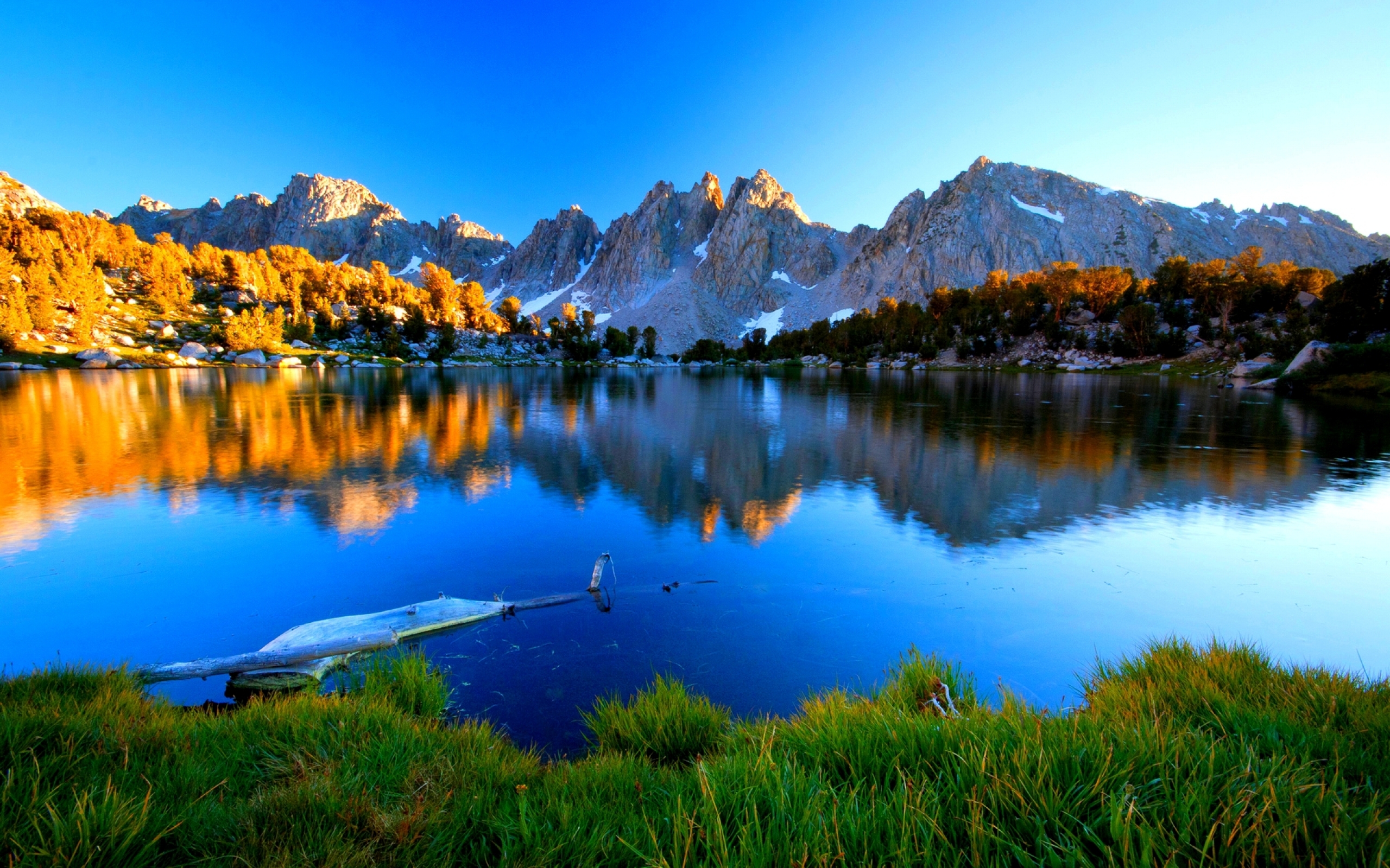 Summer Mountain Lake Shore With Green Grass Pine Trees Mountains ...