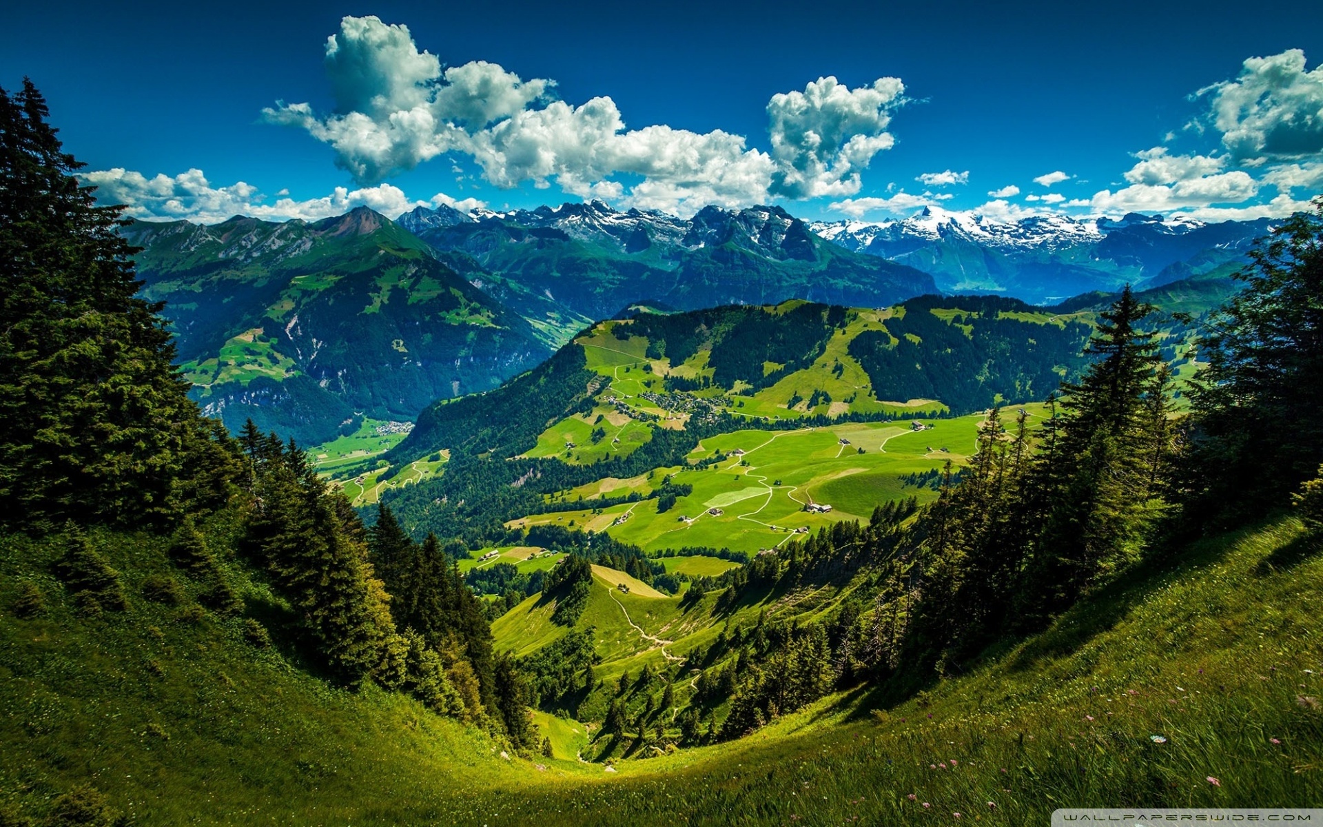 Free photo: Mountainous Landscape - Fresh, Green ...