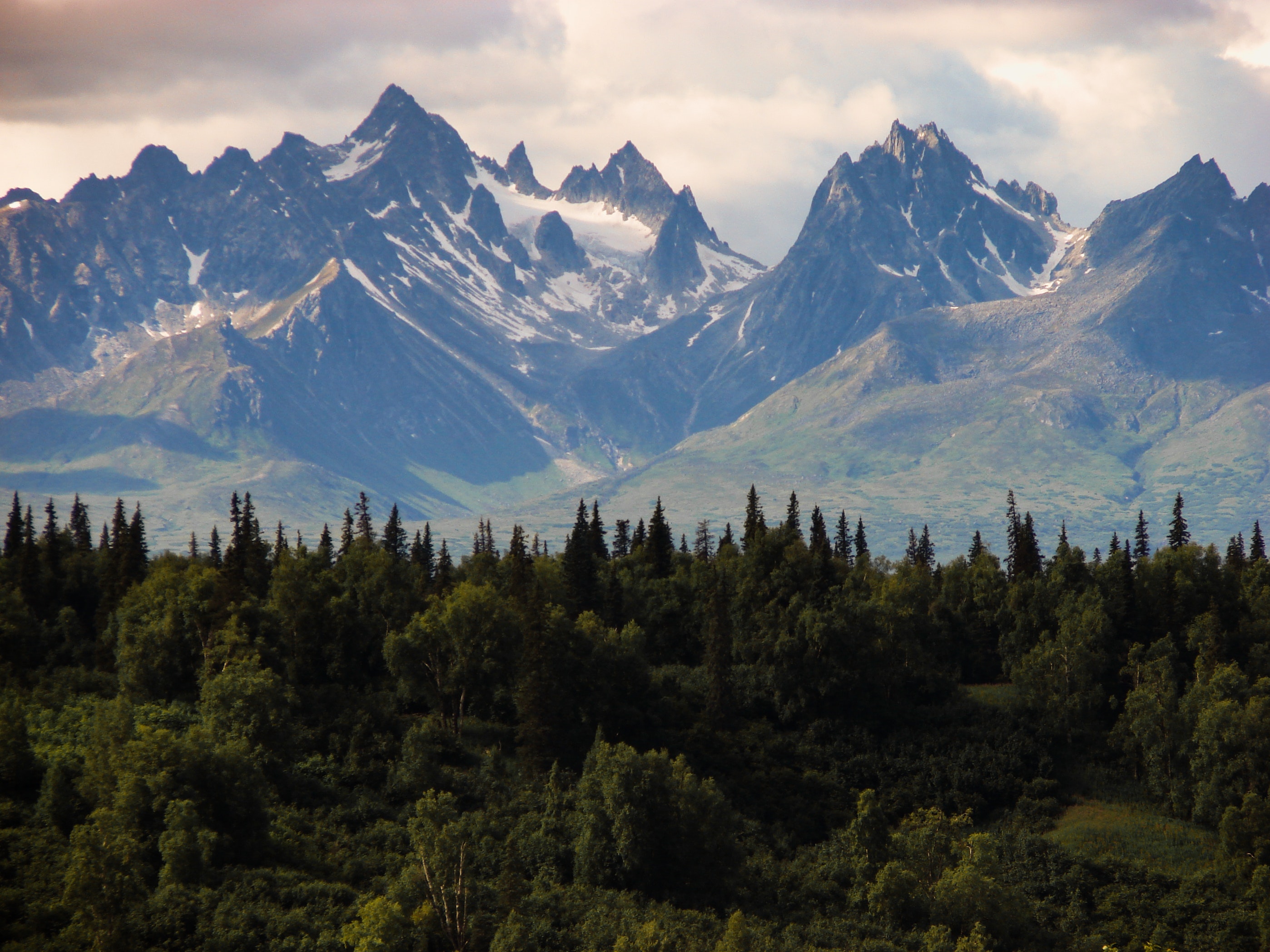Free stock photo of alaska, forest, HD wallpaper