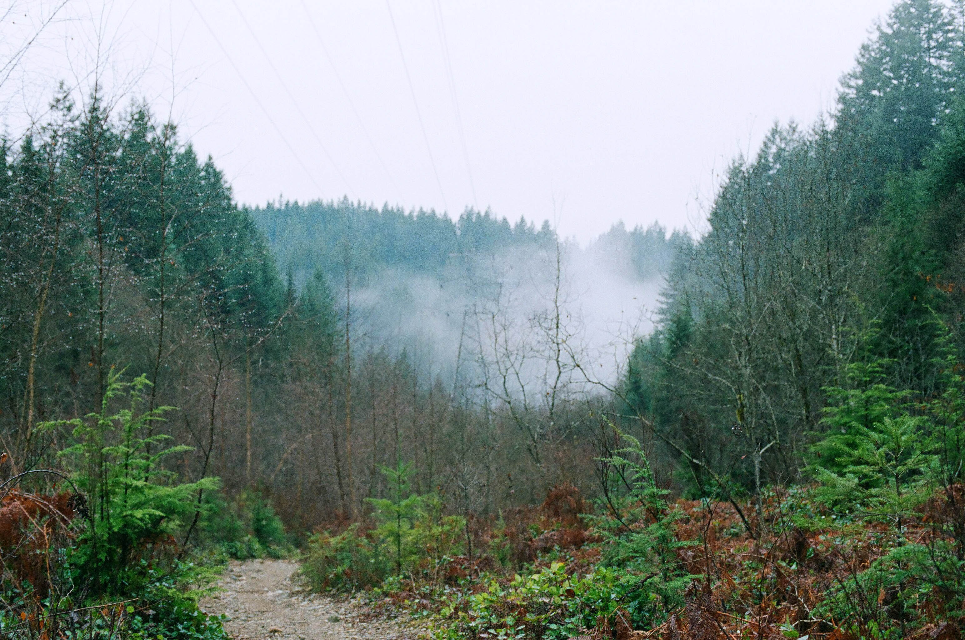 Mountain landscape fog, North Vancouver, Hill, Landscape, Mountainside, Outdoor, HQ Photo