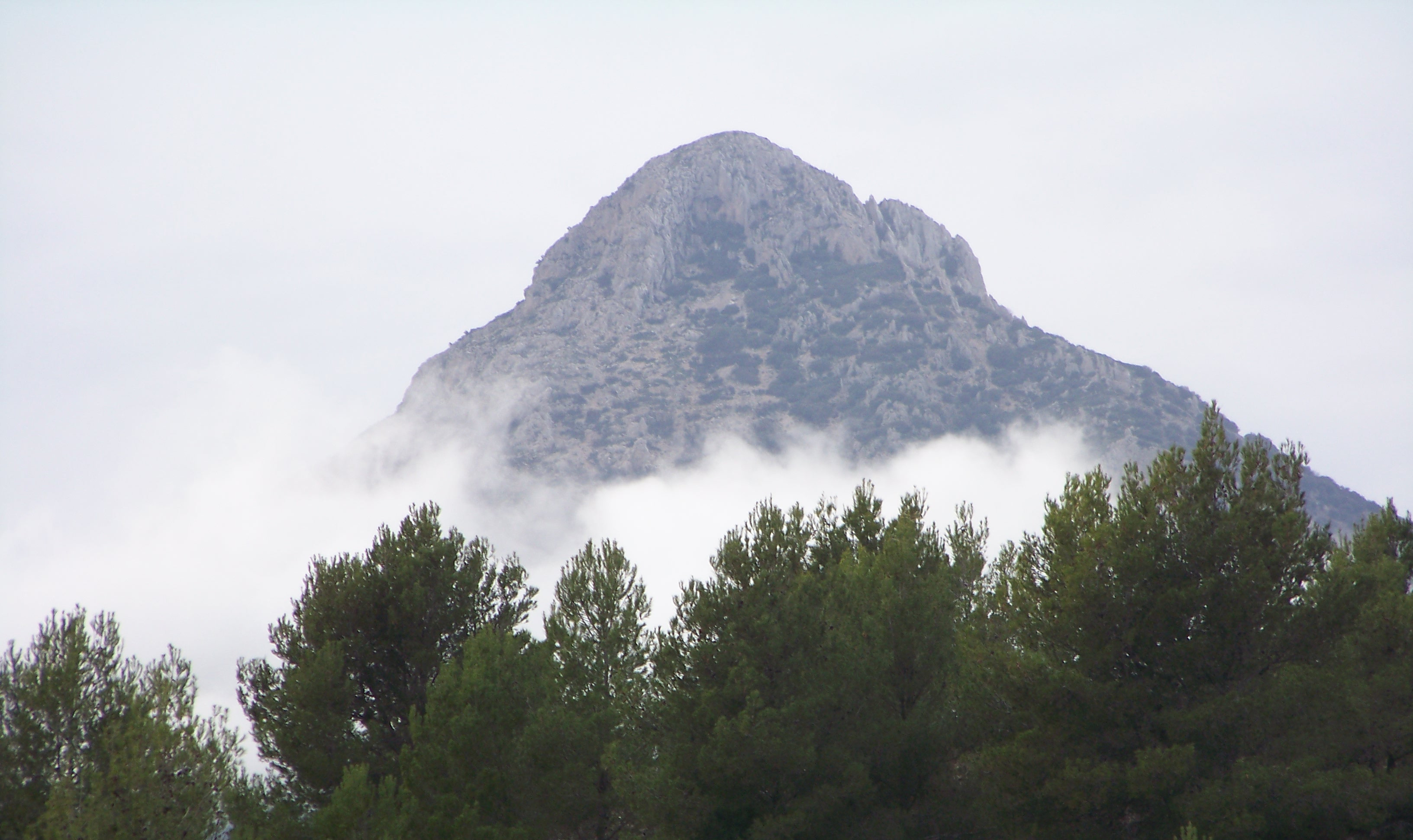 Mountain mist photo