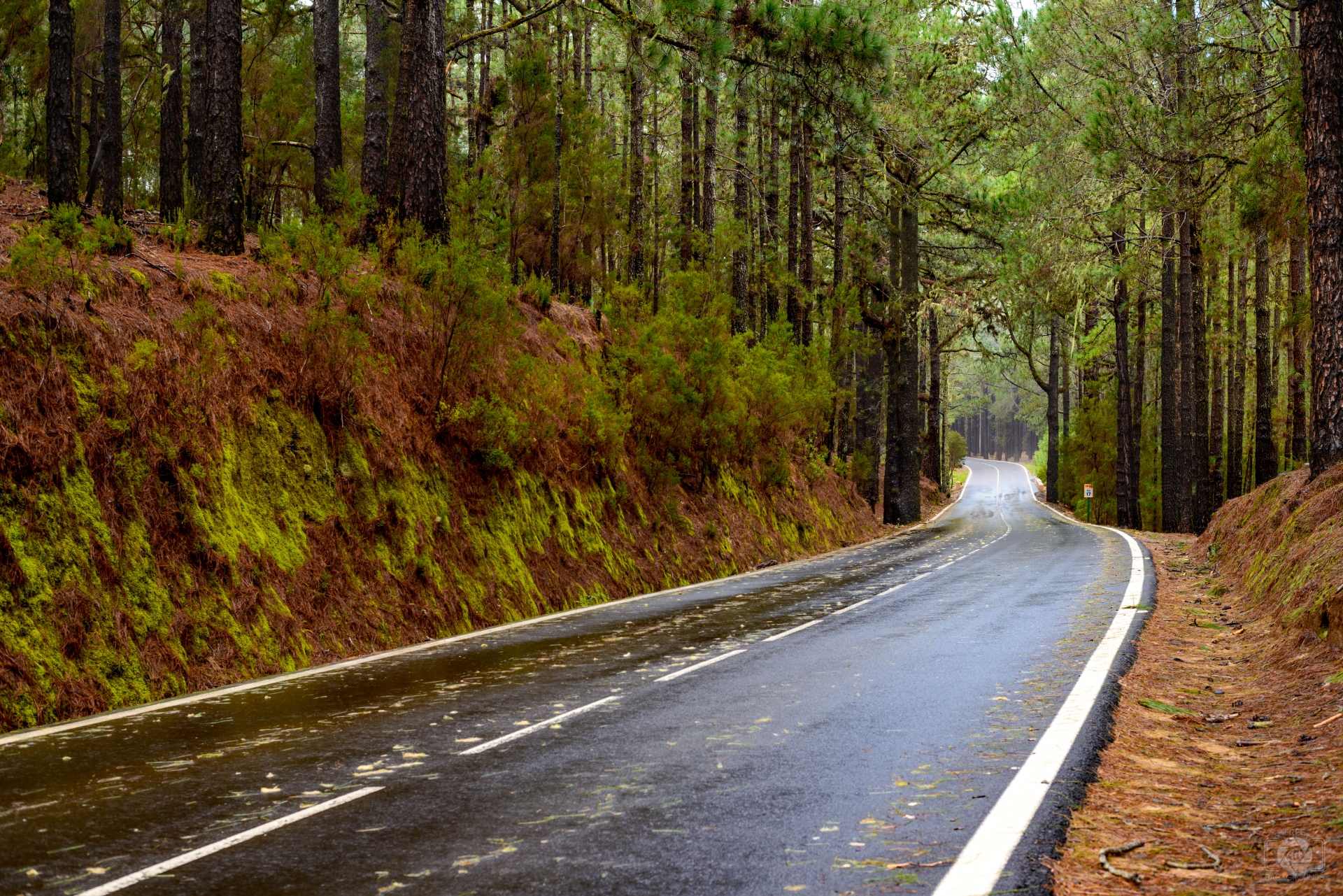 Rainy Mountain Road Background - High-quality Free Backgrounds