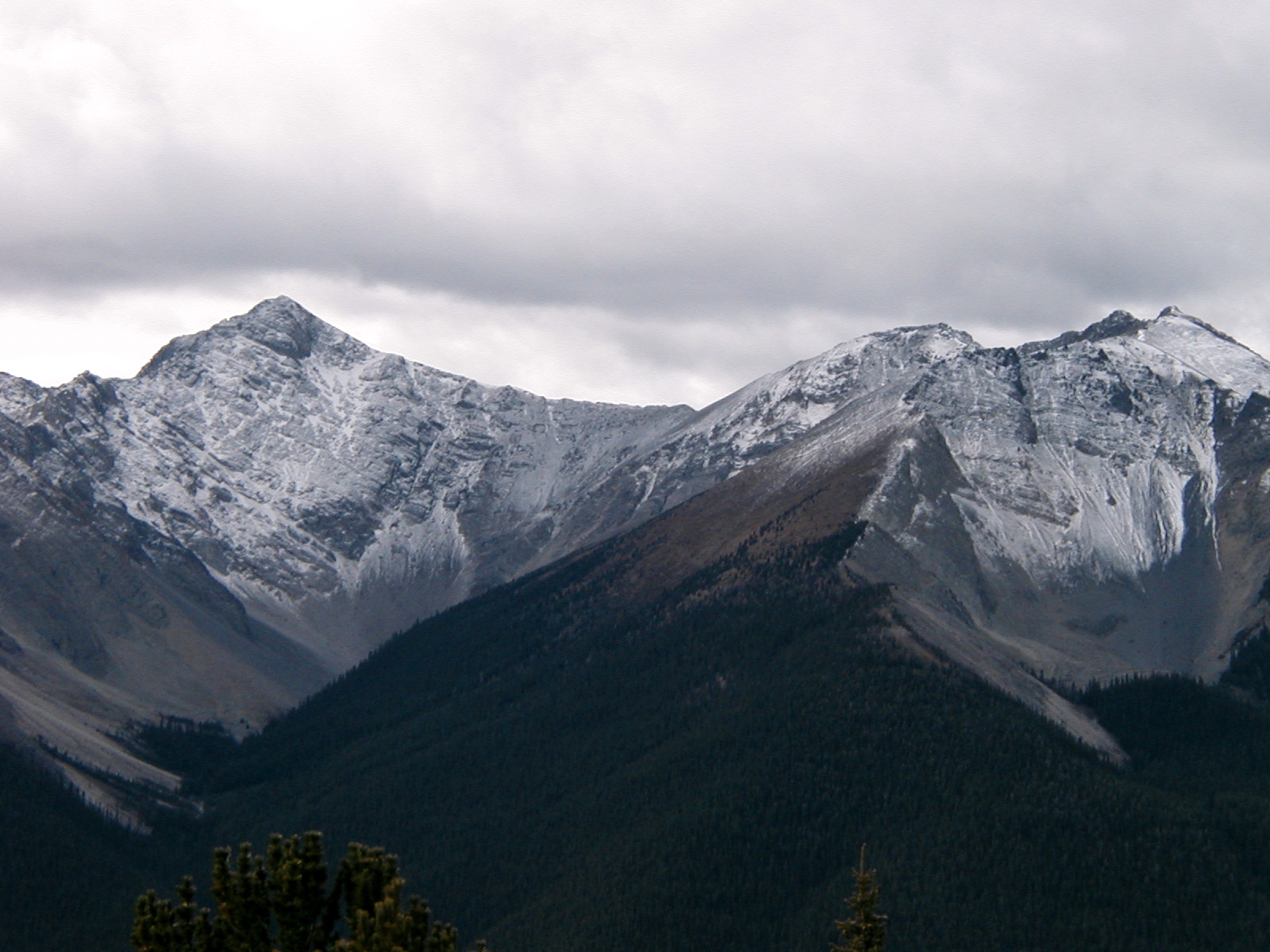 File:View from the top of Sulphur Mountain 02.jpg - Wikimedia Commons