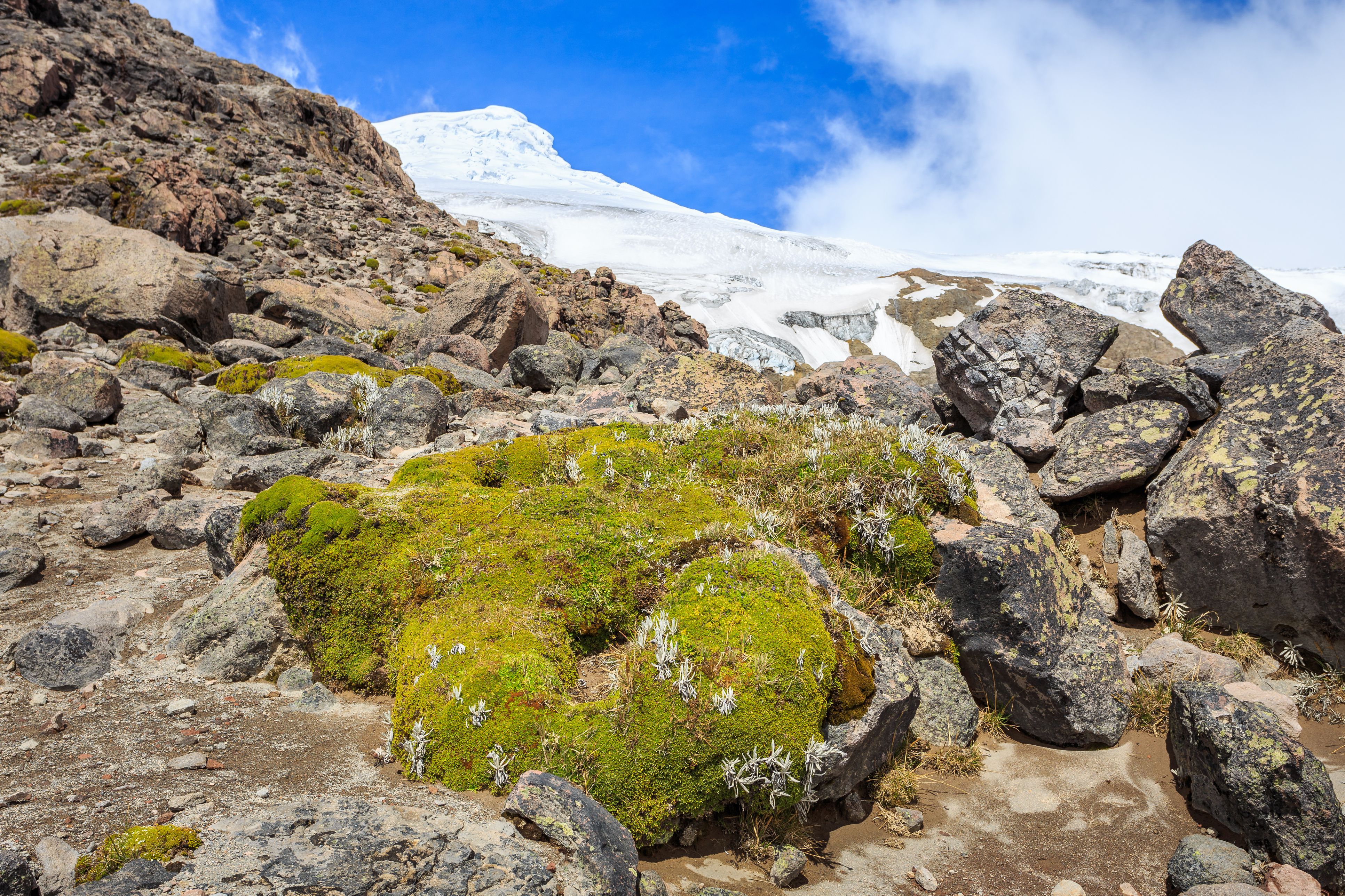 Ecuador's 10 Highest Mountains