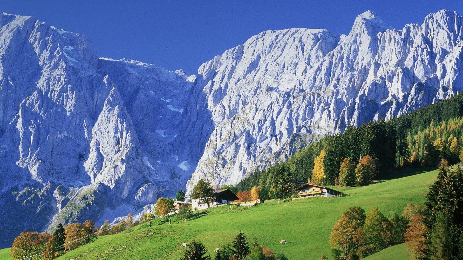 Mountain: Austria Chalets Alps Austrian Stuning Grass Scenery Cows ...