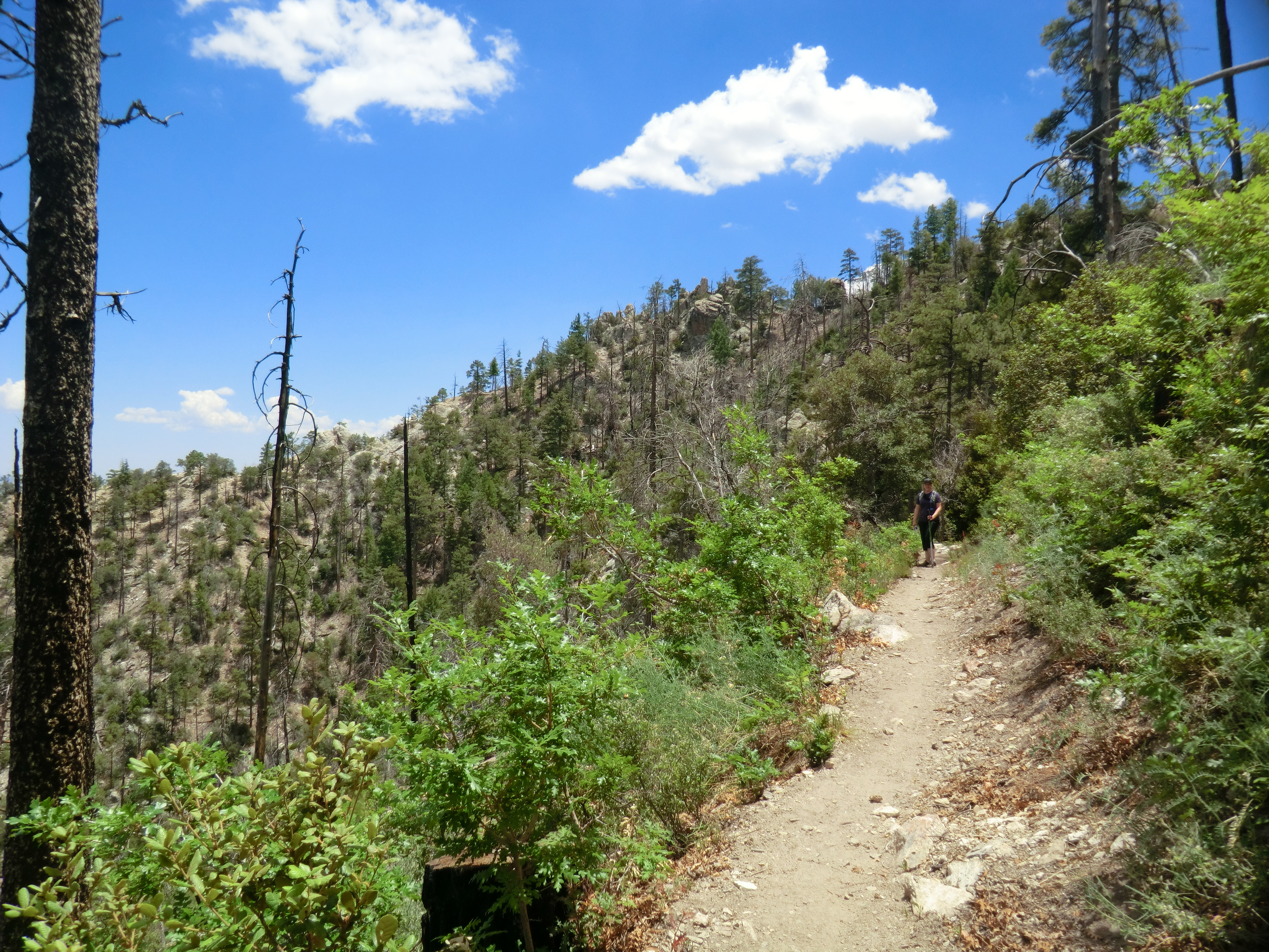 Green Mountain Trail | Hike Lemmon!