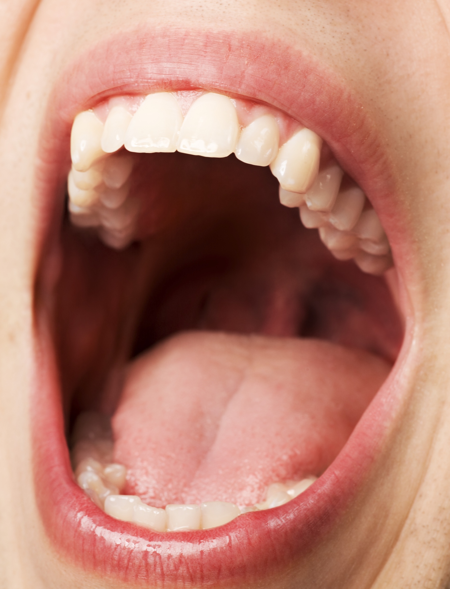 The meaning and symbolism of the word - «Mouth»
