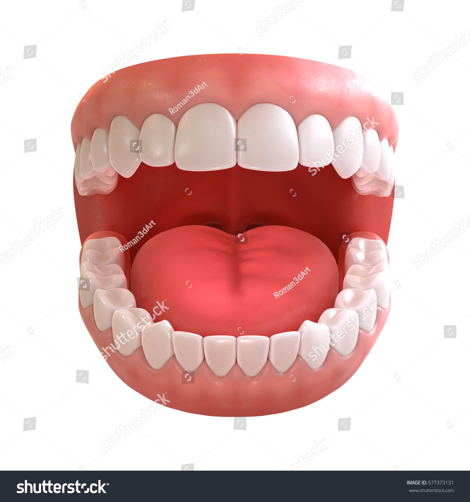 3 D Rendering Human Teeth Open Mouth Stock Illustration 577373131 ...