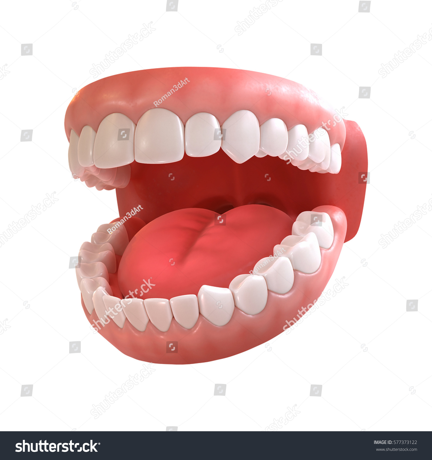 3 D Rendering Human Teeth Open Mouth Stock Illustration 577373122 ...