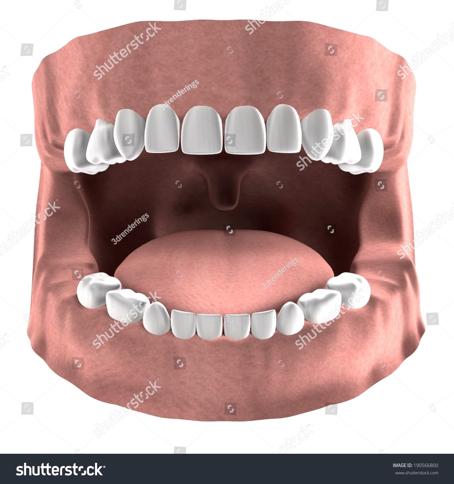 Realistic 3d Render Child Teeth Stock Illustration 190566800 ...