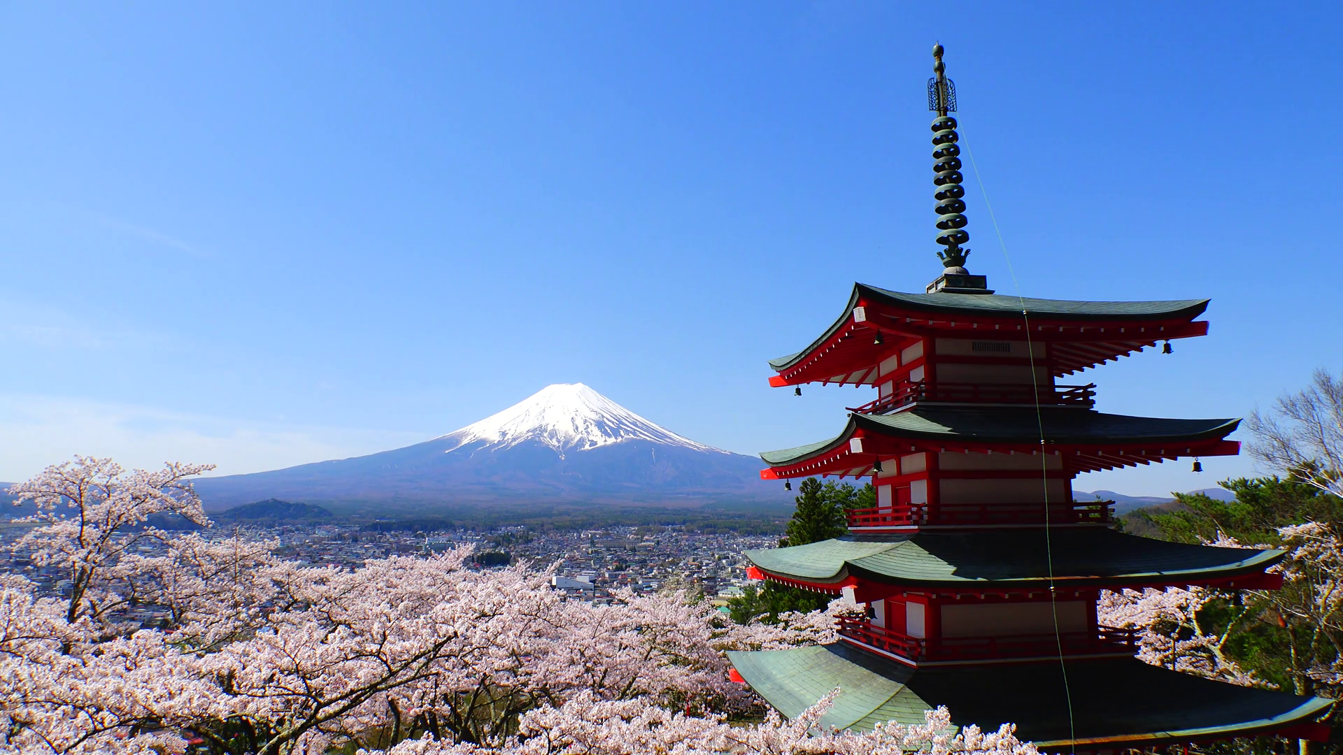Mt Fuji Cherry Blossoms And Chureito 1 Stock Video Footage - Videoblocks