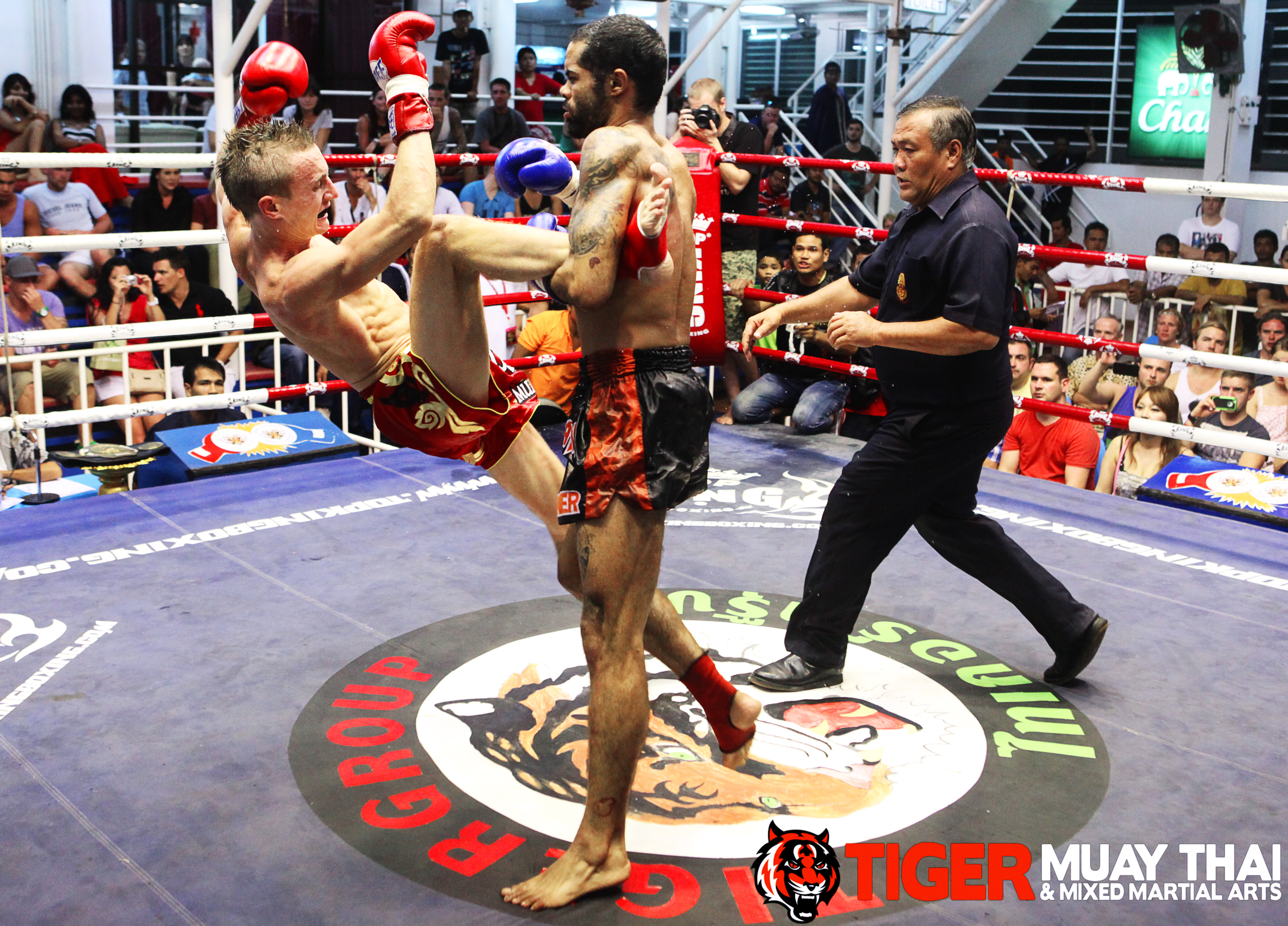 From Muay Thai to the UFC and back: TMT fights around the world ...