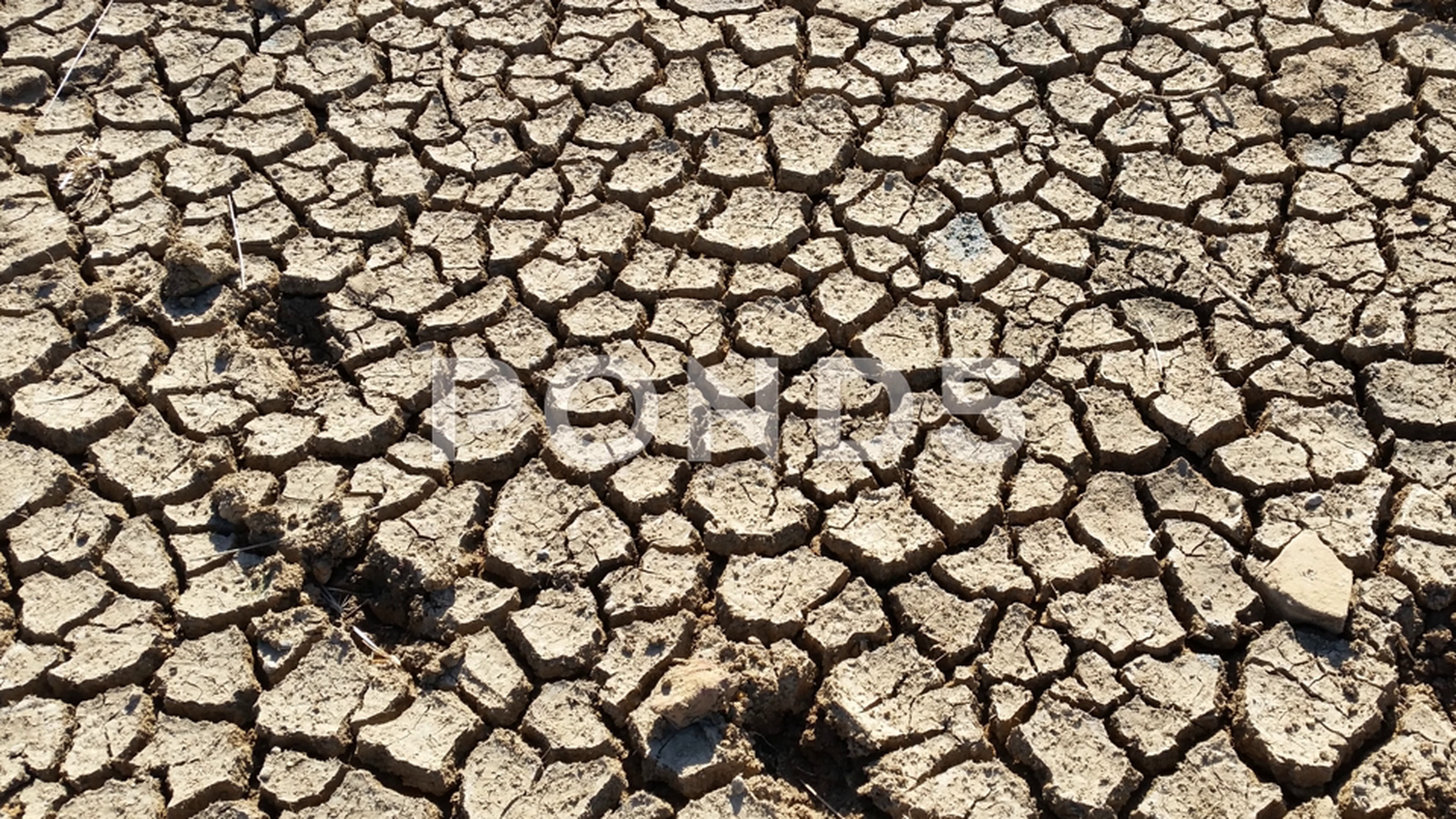 Hot Drought Cracked Clay Mud Dust Pan of Dry River Bed ~ Video #79512605