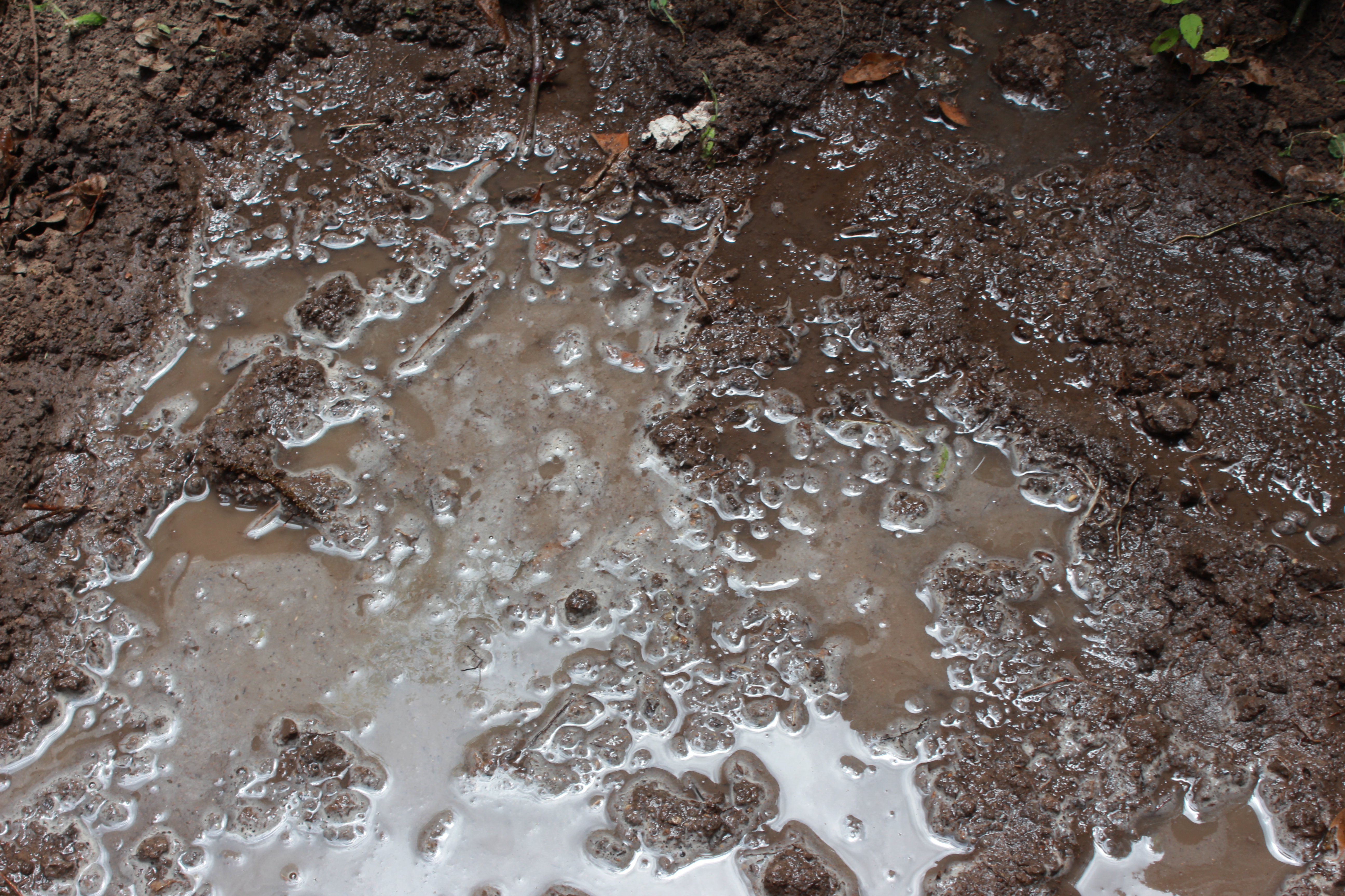 File:Dirt and Mud 005 - Muddy Water.jpg - Wikimedia Commons