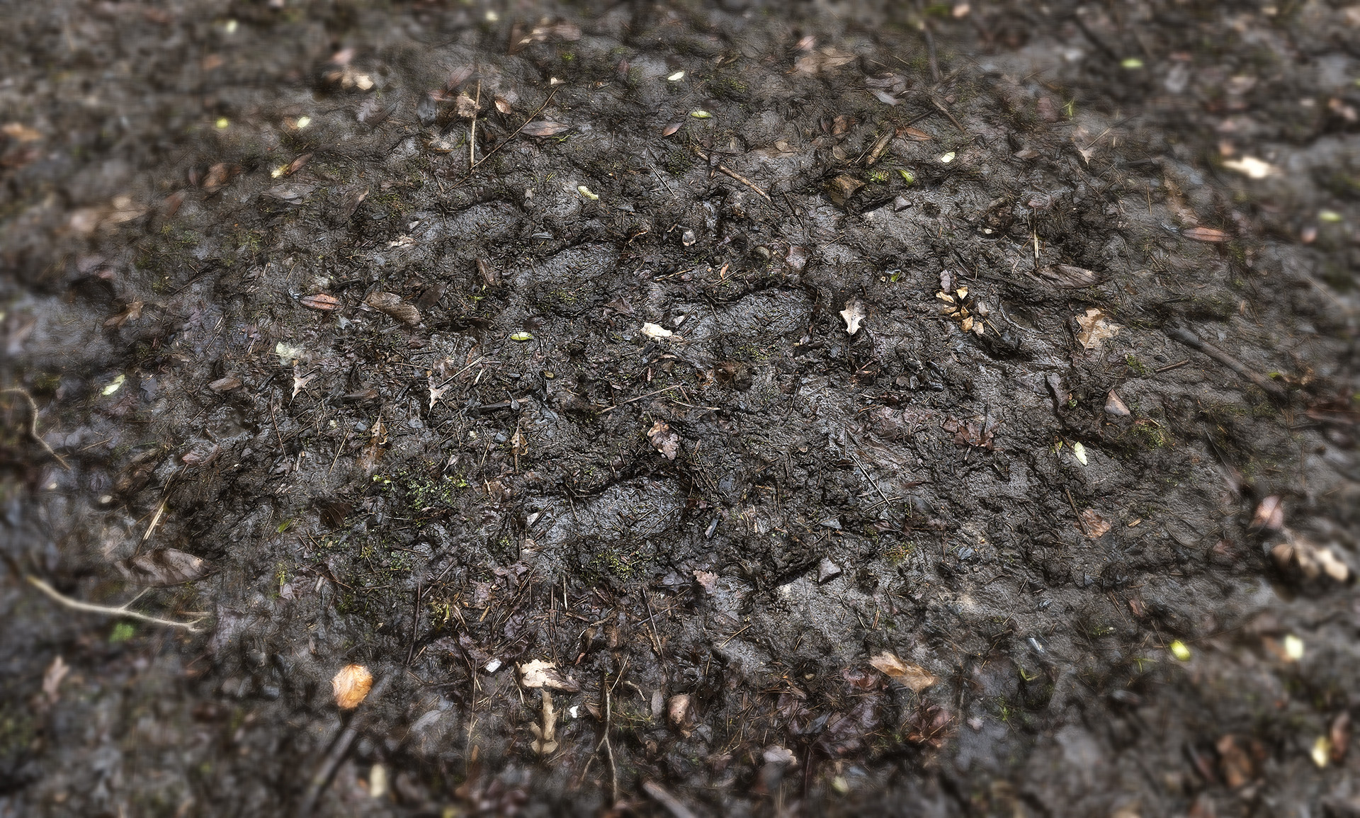 Alex Patel - Muddy Soil