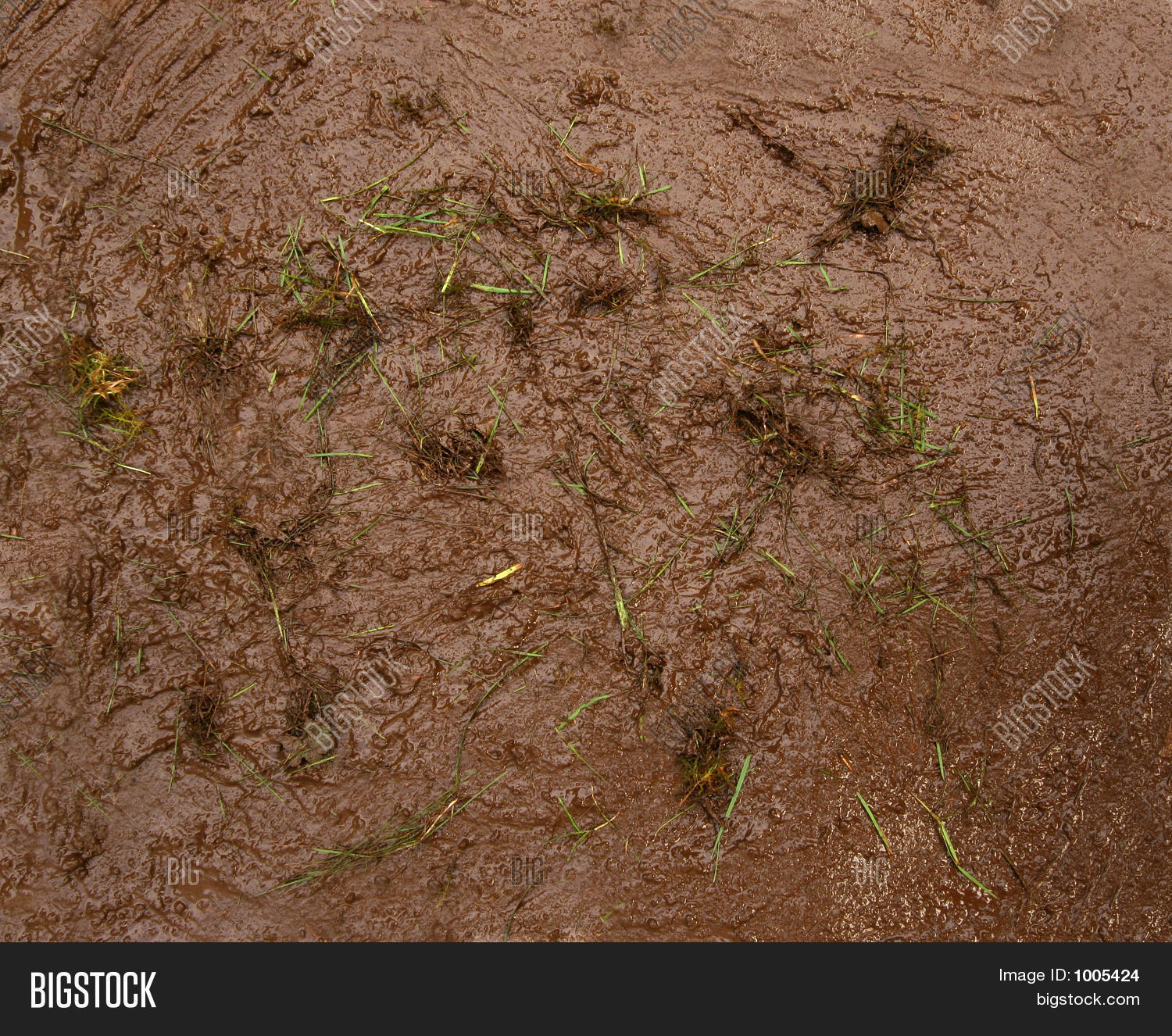 Wet Mud Background Image & Photo | Bigstock