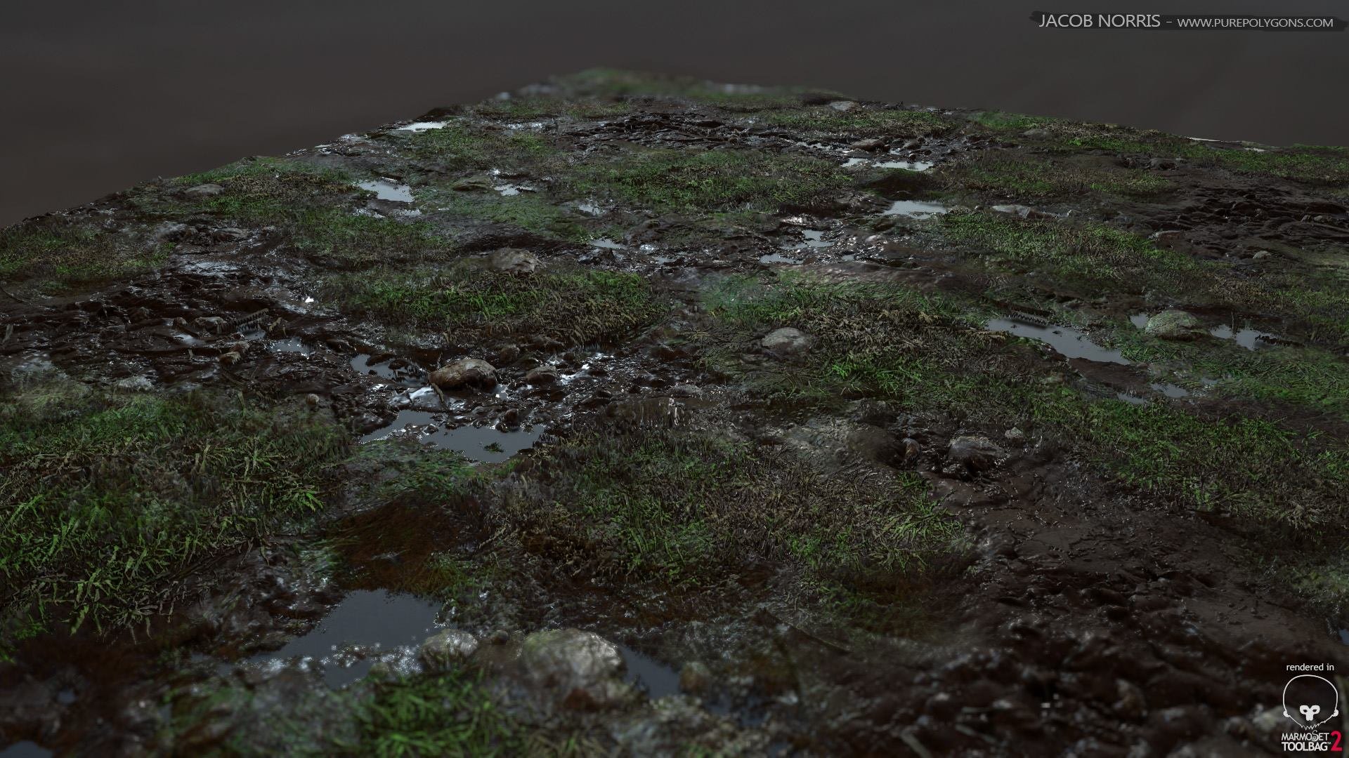 ArtStation - Grass with Rocks and Puddles, Jacob Norris