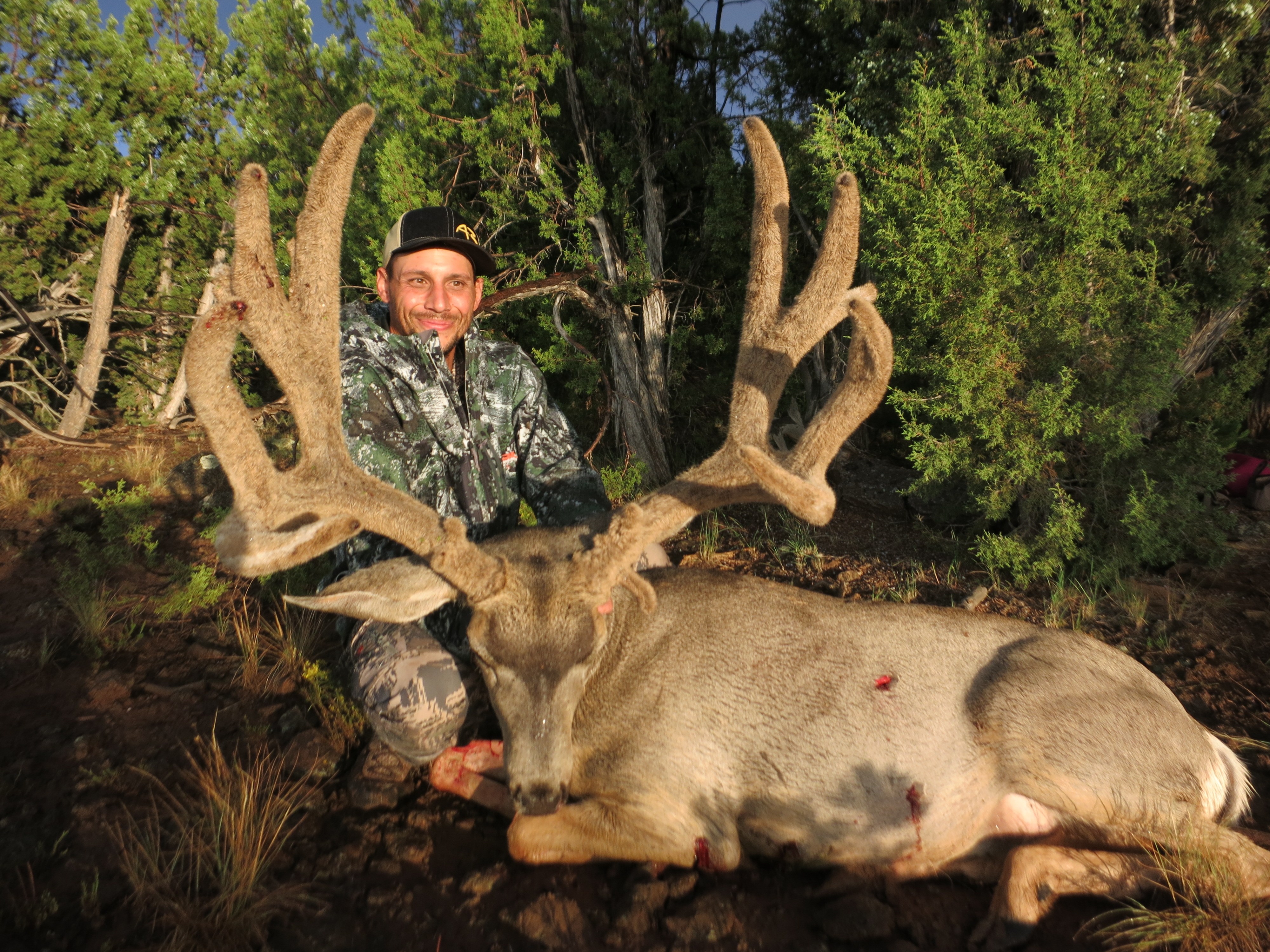 Mule Deer Hunts | A3 Trophy Hunts LLC