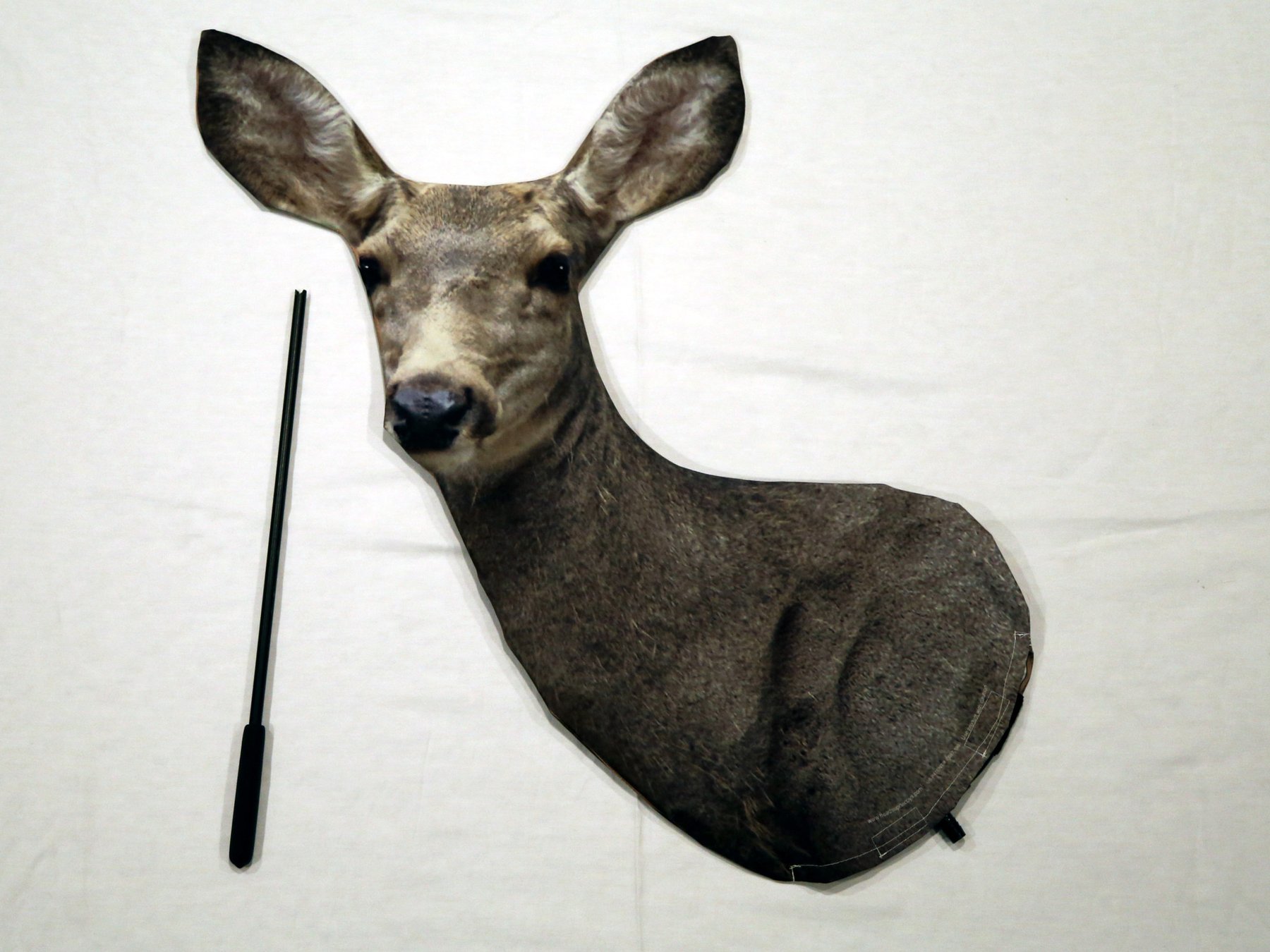Archery Mule Deer Doe Decoy - Heads Up Decoy