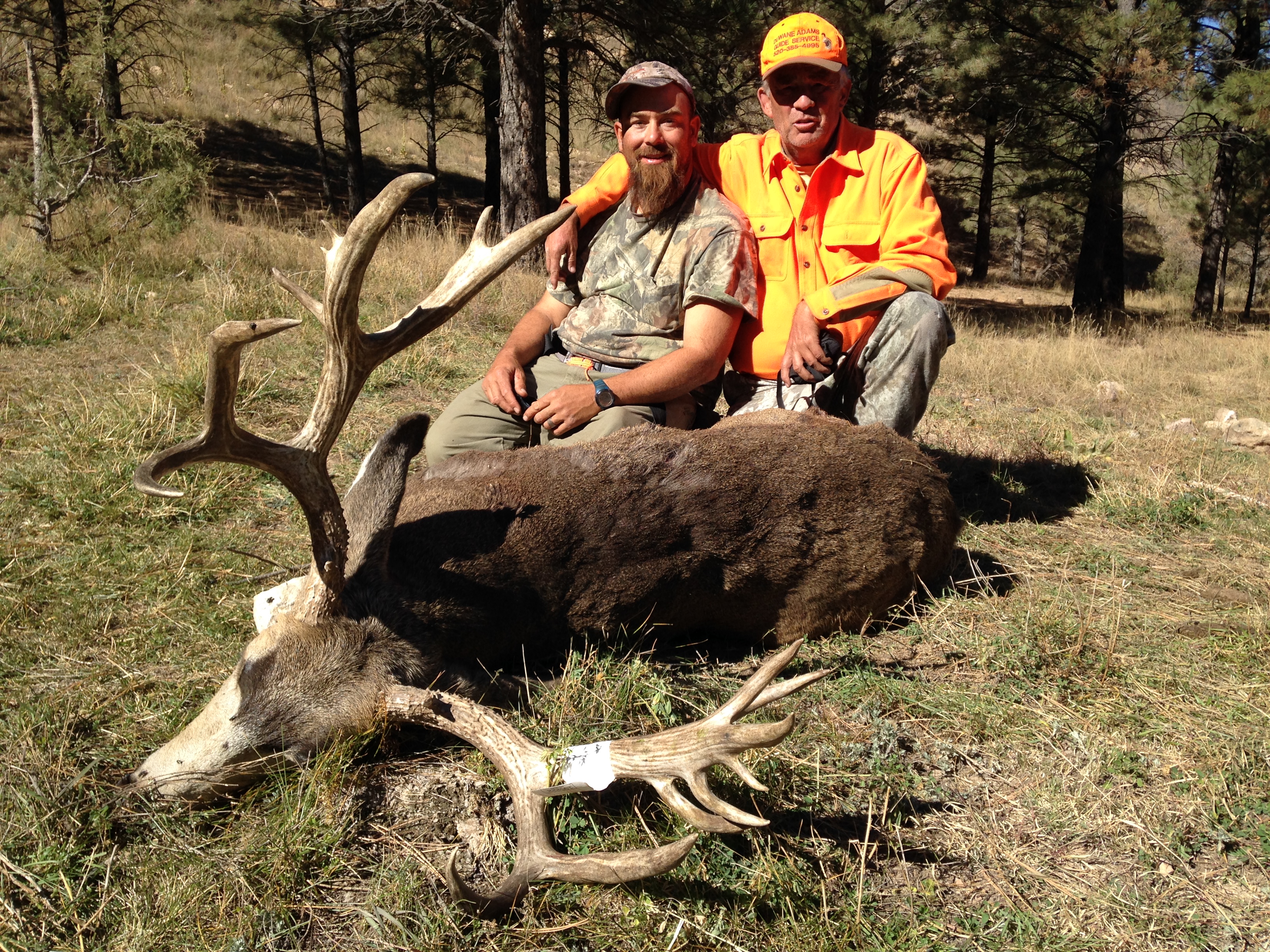 Kaibab Mule Deer Guide | Arizona Big Game Hunting