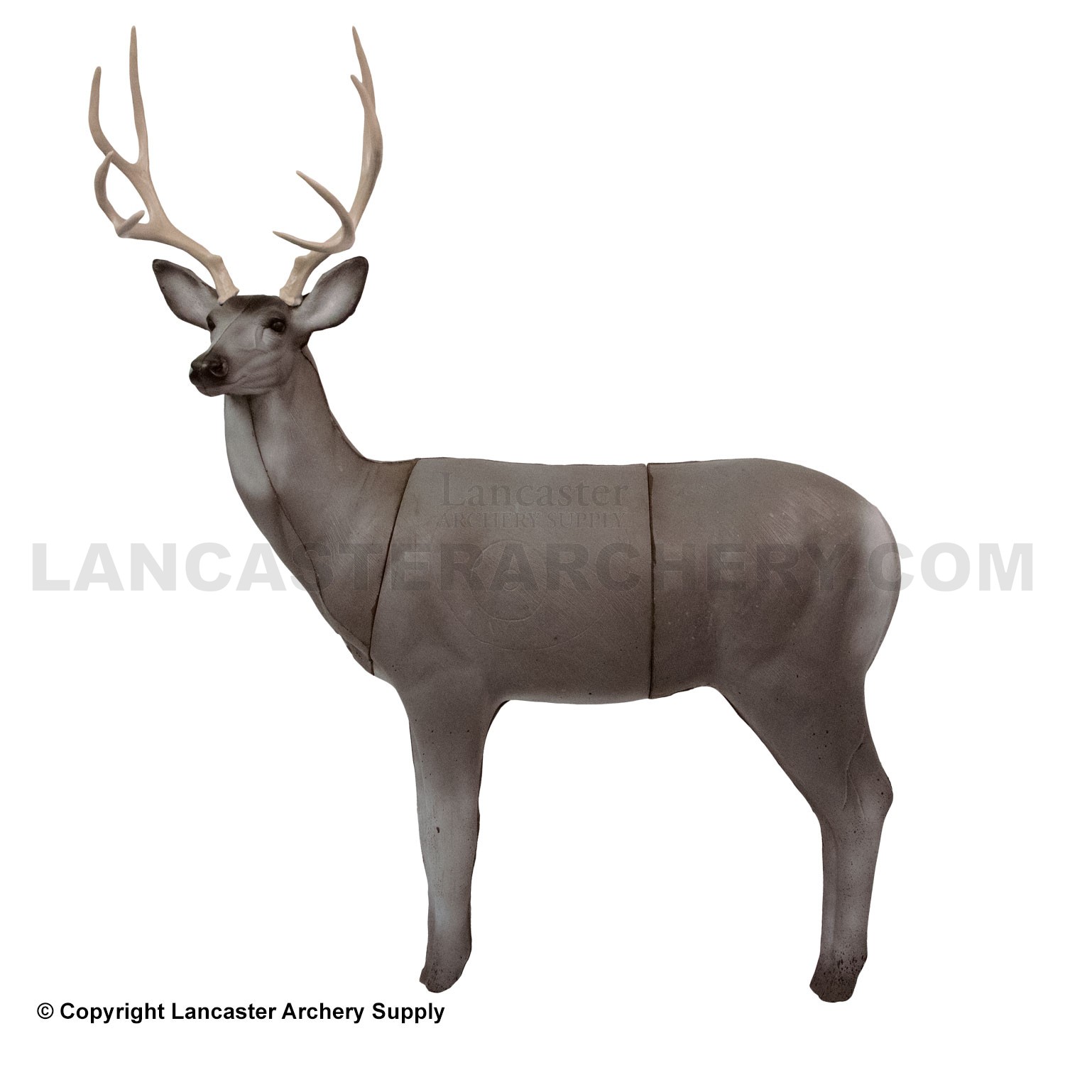 R&W Mule Deer 3D Target