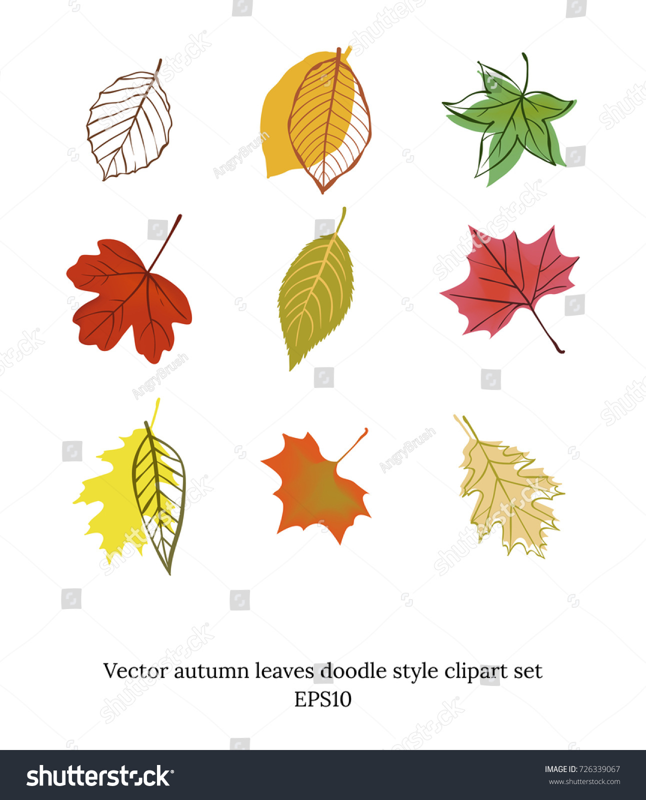 Multicolor Autumn Leaves Set On White Stock Photo (Photo, Vector ...