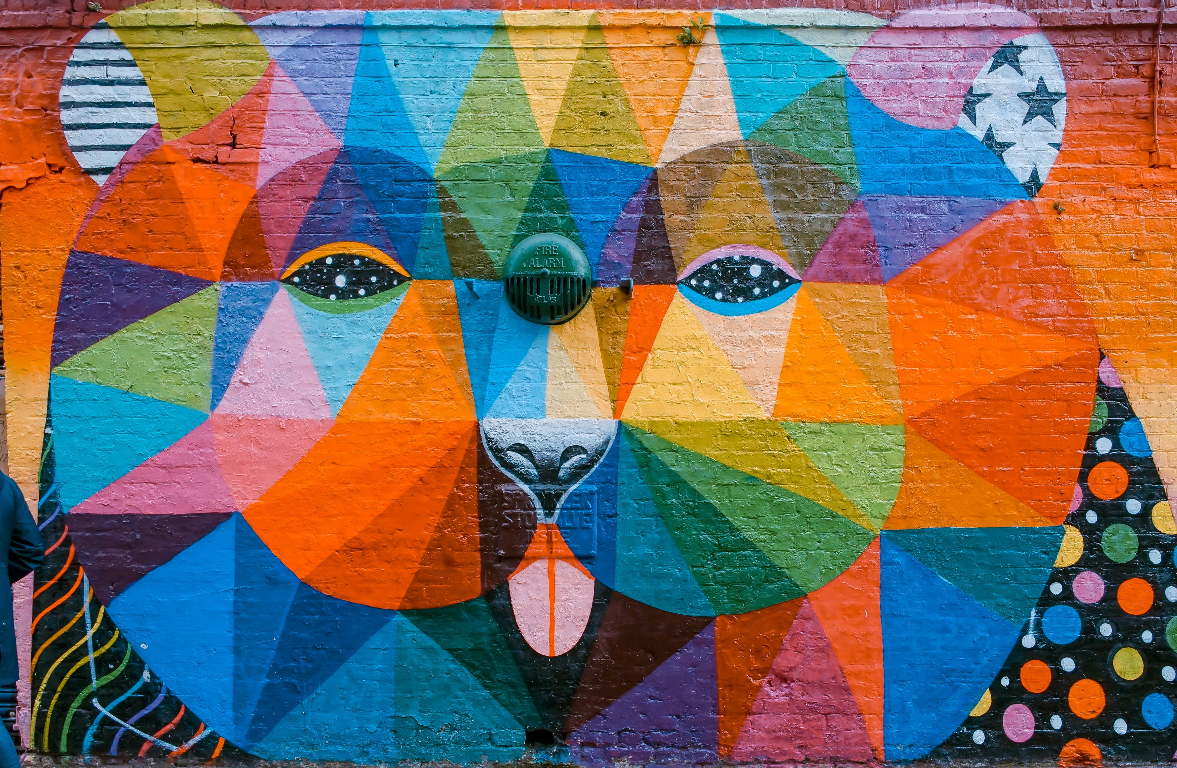 Multicolored lion graffiti, Graffiti, Art, Muzzle HD wallpaper ...