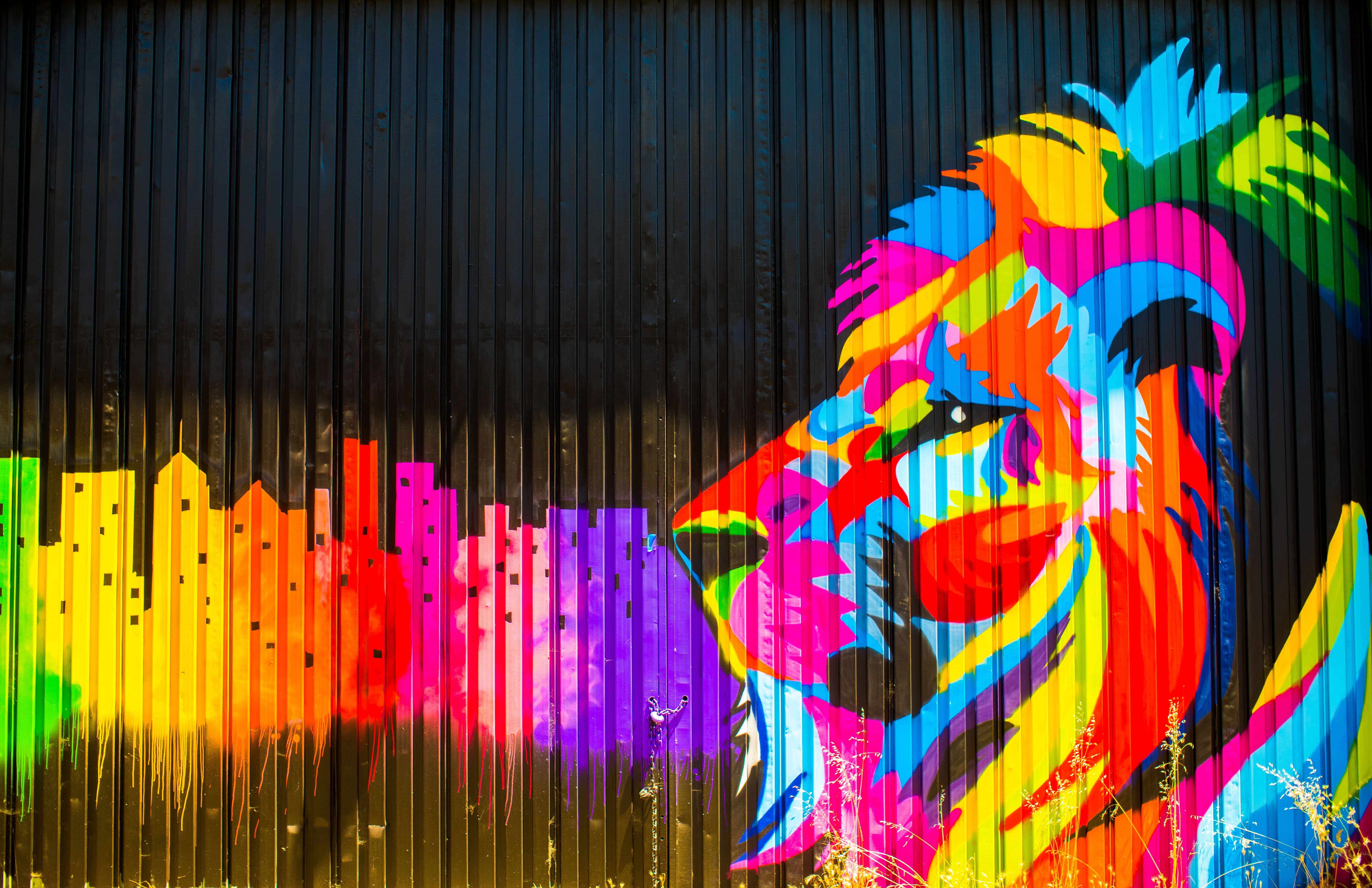 Multicolored Lion Graffiti | Graffiti and Lions
