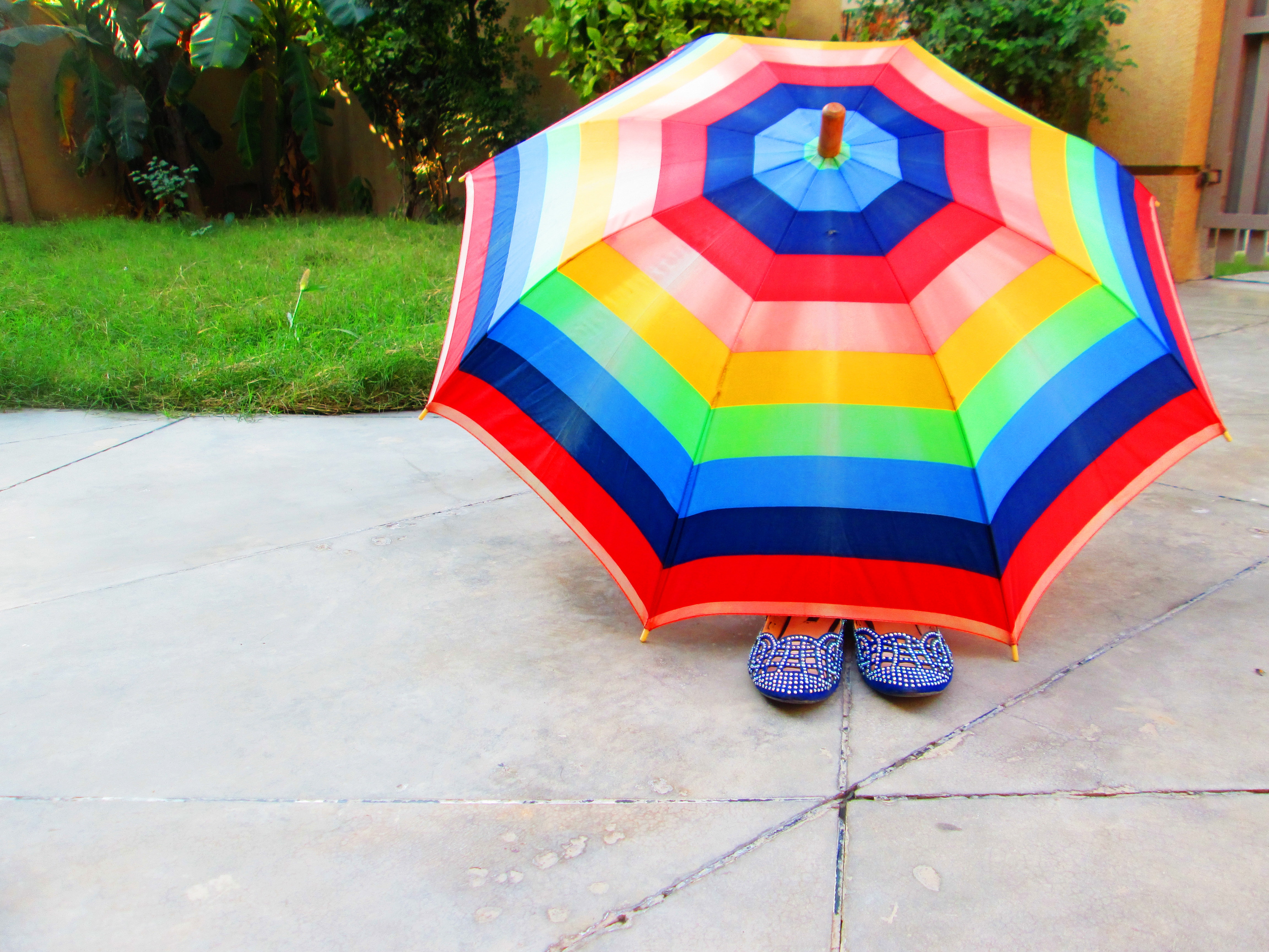 Multicolored umbrella photo