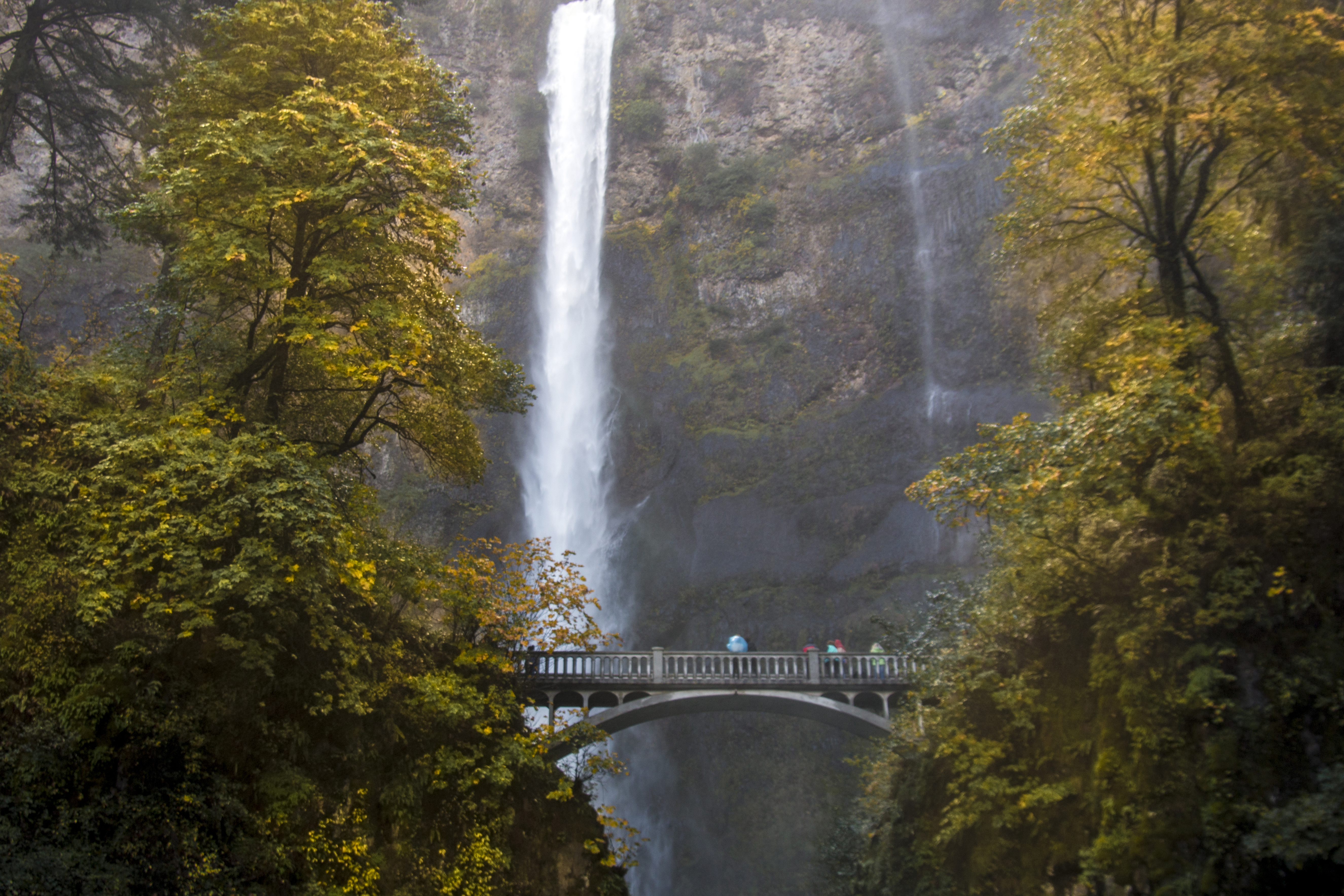 Multnomah falls bridge, columbia river gorge, oregon photo