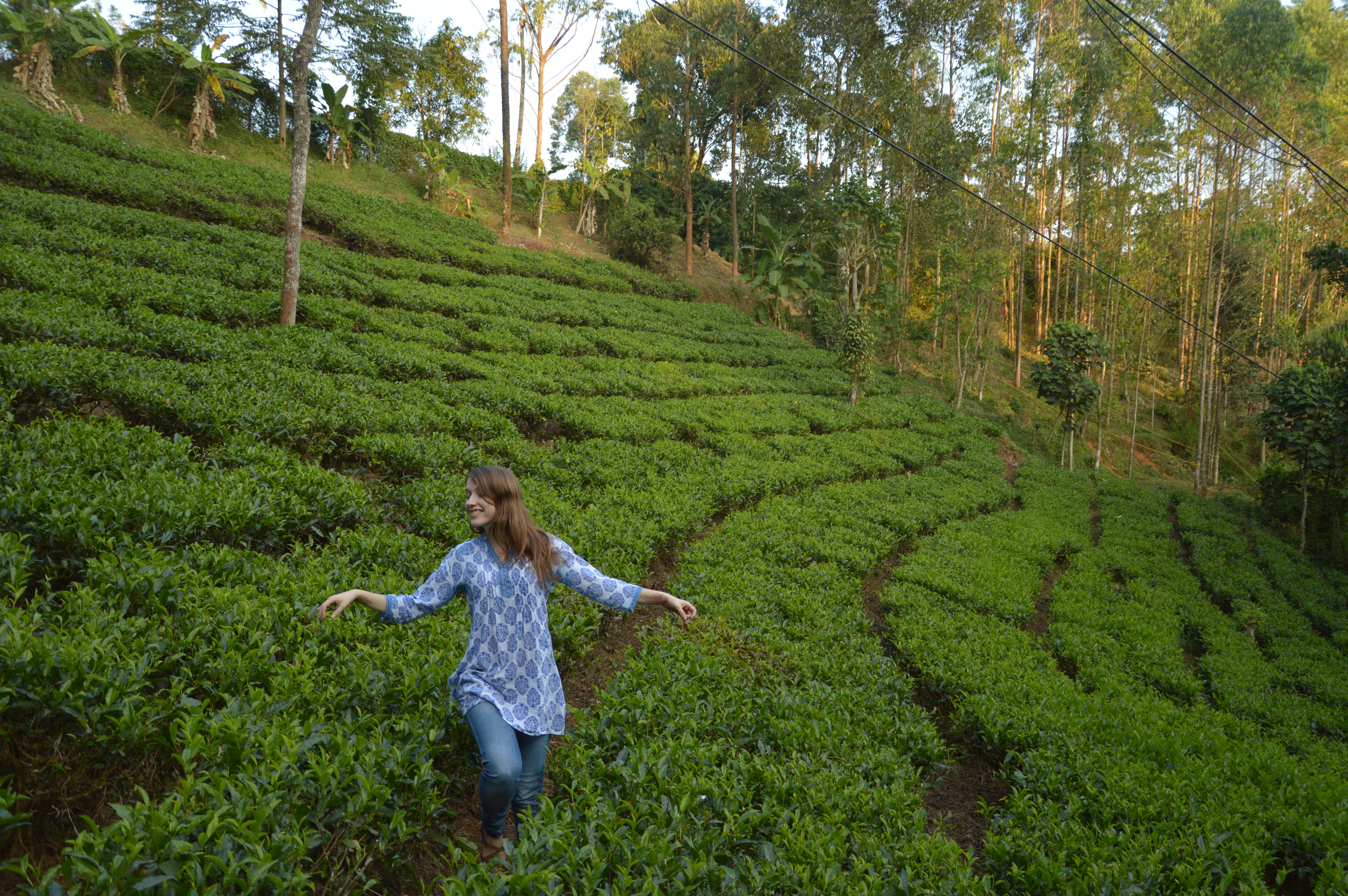 Munnar Hill Station | Another Far Country