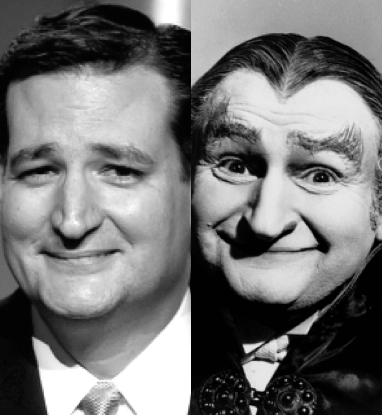 Ted Grandpa Munster Cruz cheats on his Goldman Sachs connected wife ...