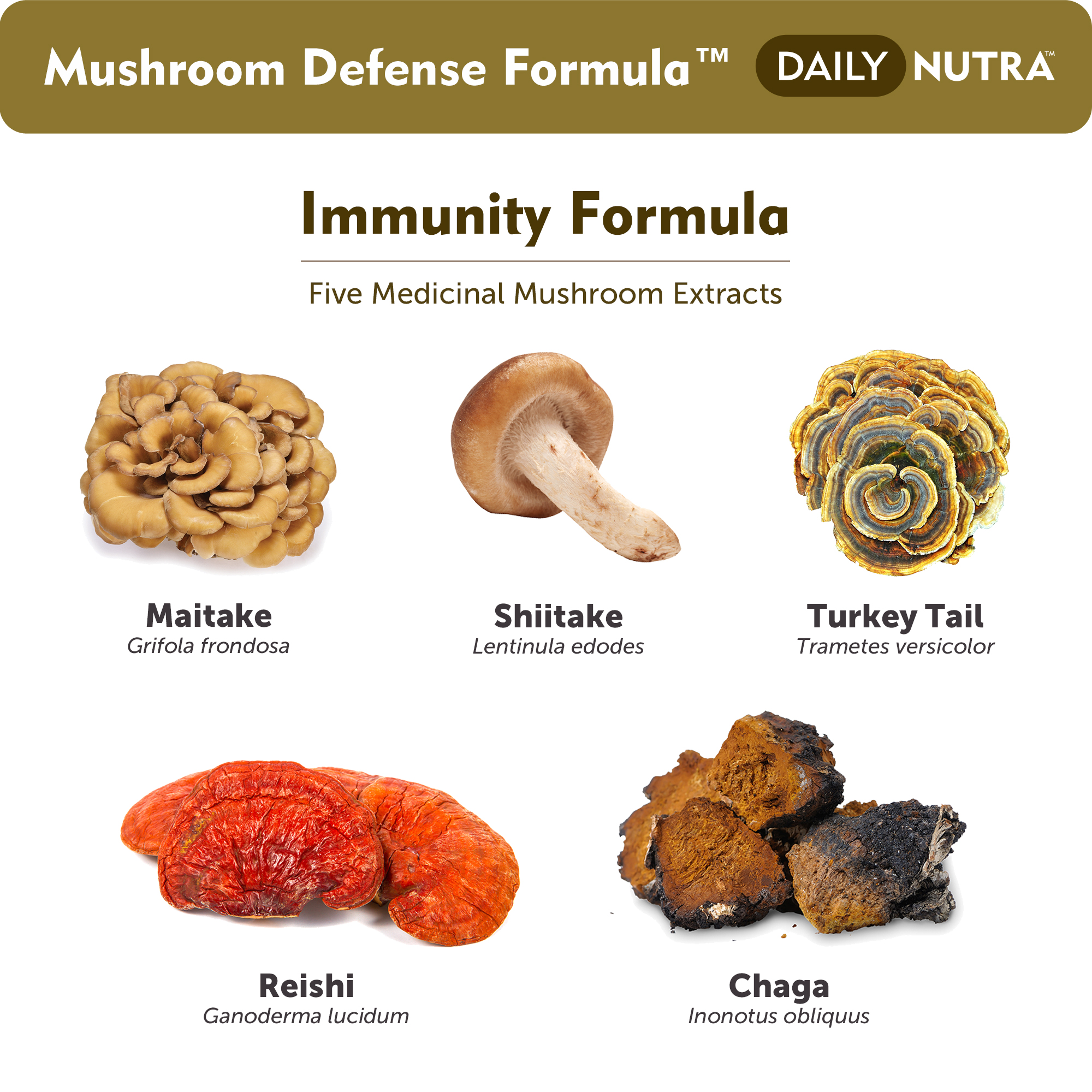 Mushroom Defense Formula - DailyNutra