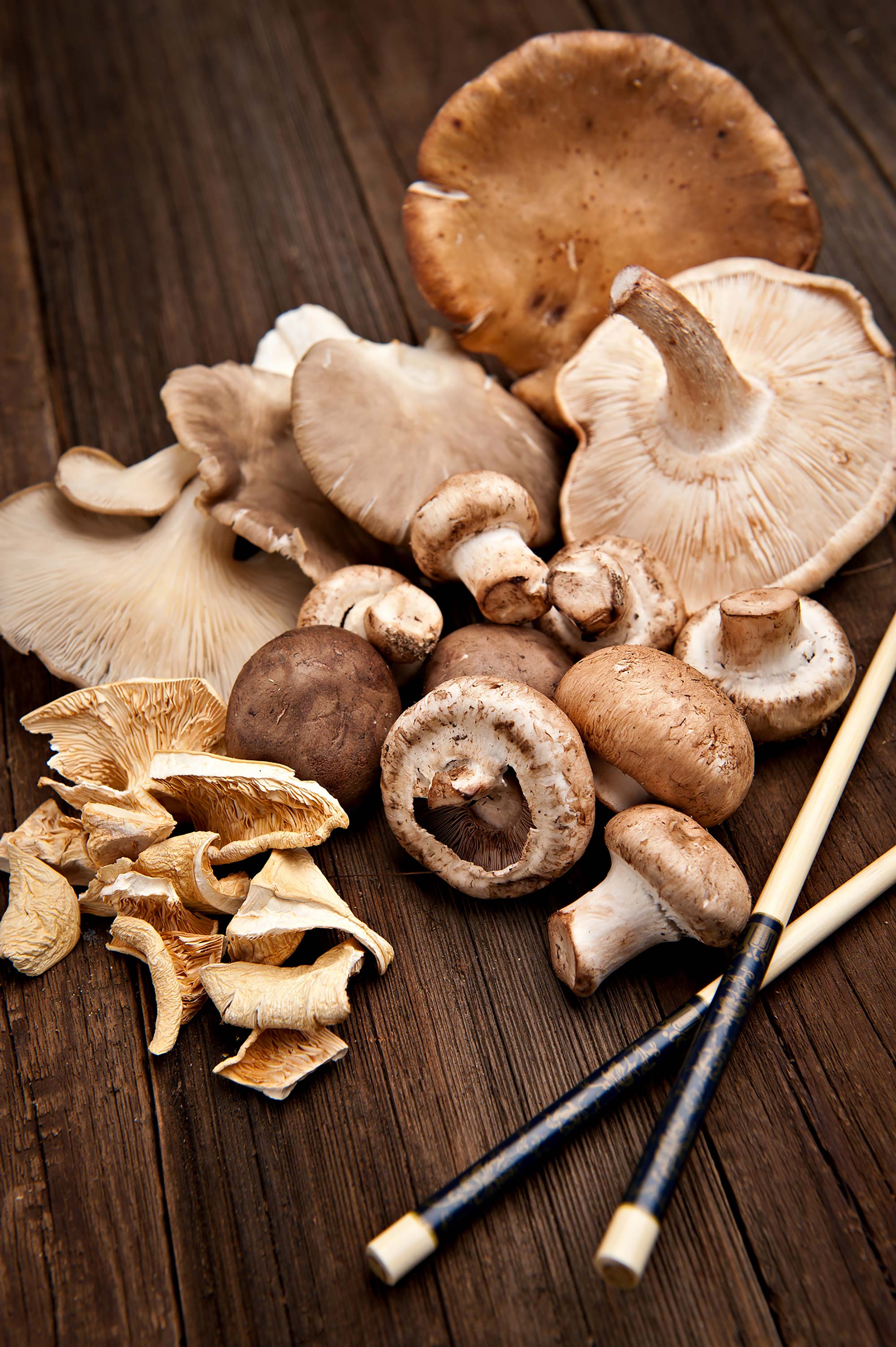 Mushrooms for Cancer: How to Fight & Prevent Cancer with Mushrooms