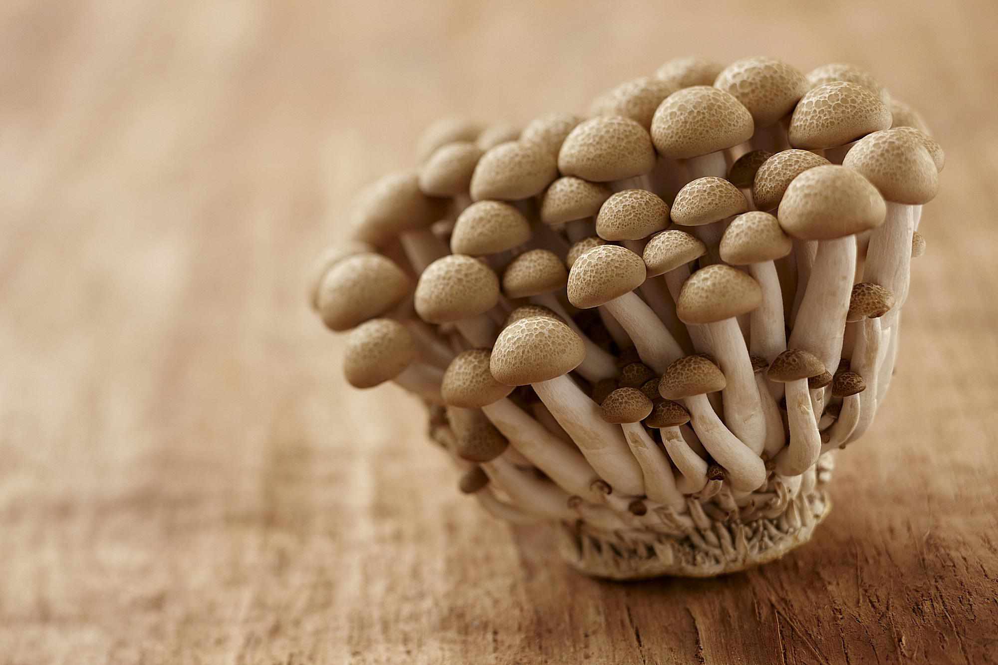 Sauteed Clamshell Brown Beech Mushroom Recipe