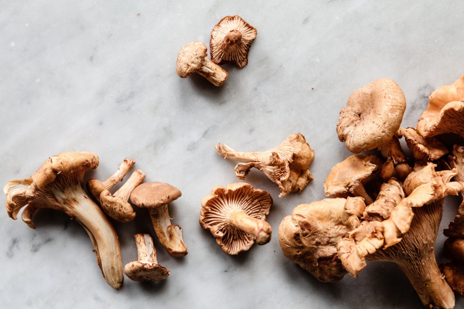 Wild Mushroom Chowder with Bacon and Leeks | The Modern Proper