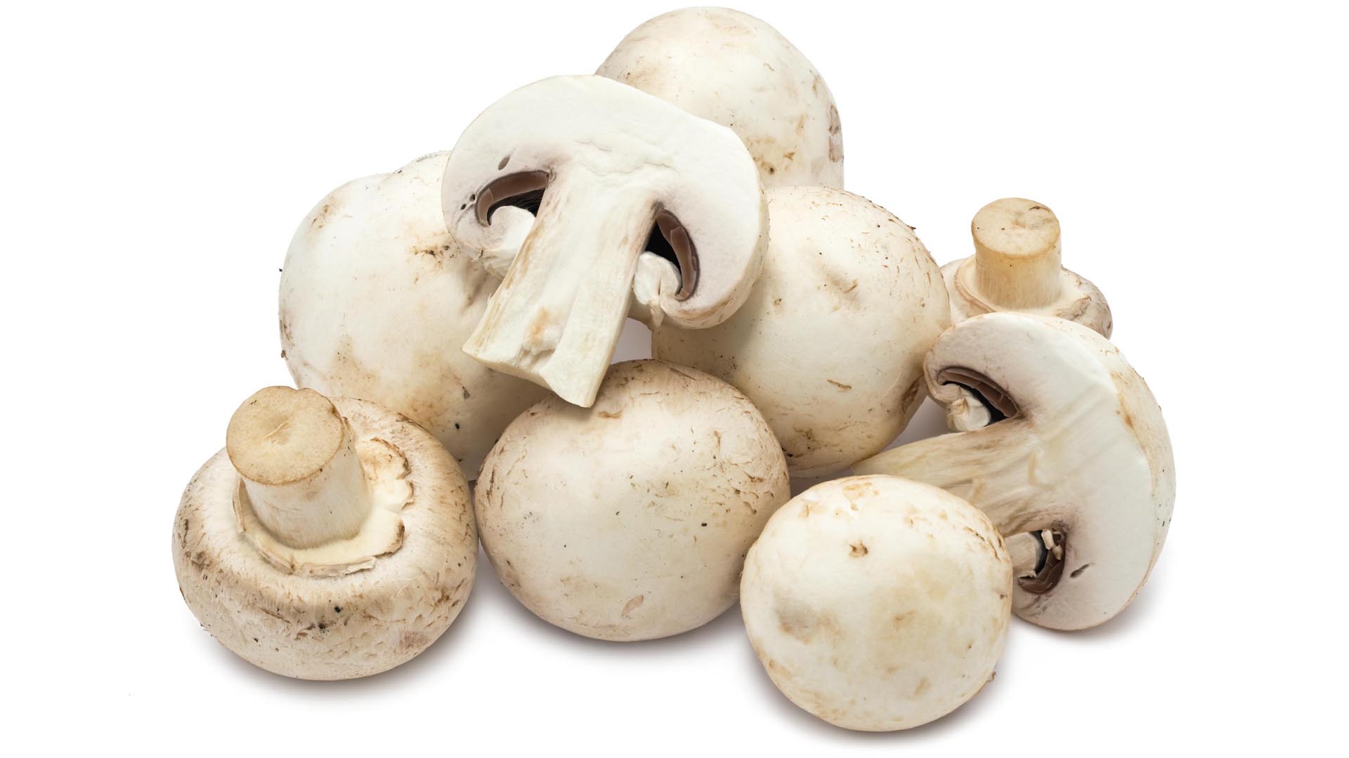 Mushrooms Finding Way Into Iranian Food Basket | Financial Tribune