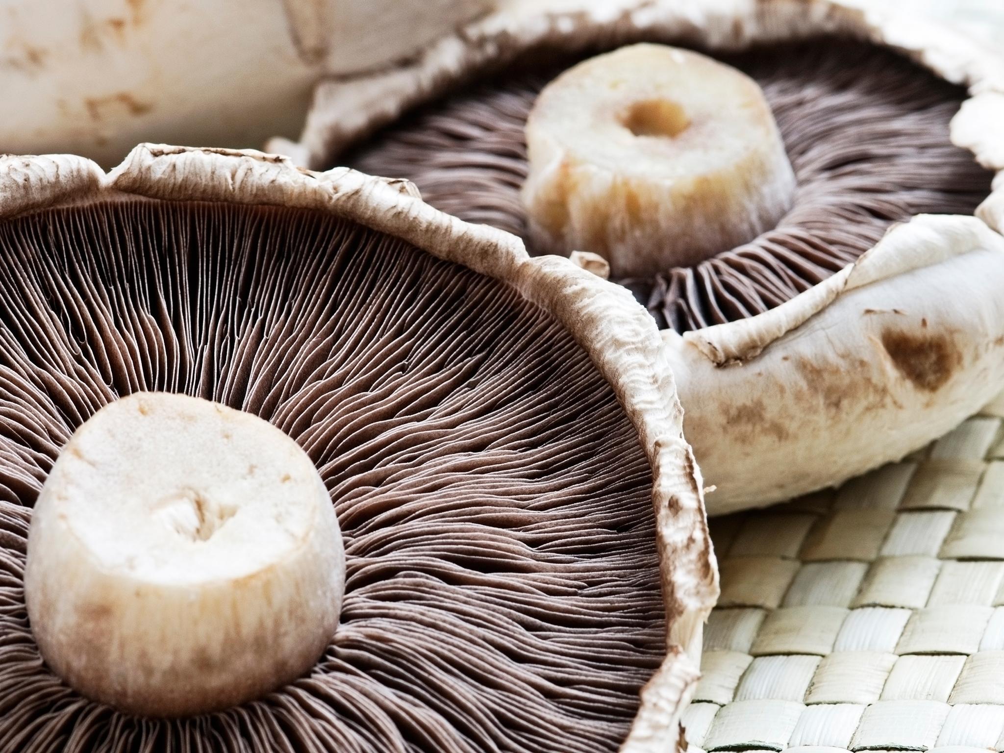 Mushroom coffee: Why people are hailing new fungus drink as next ...