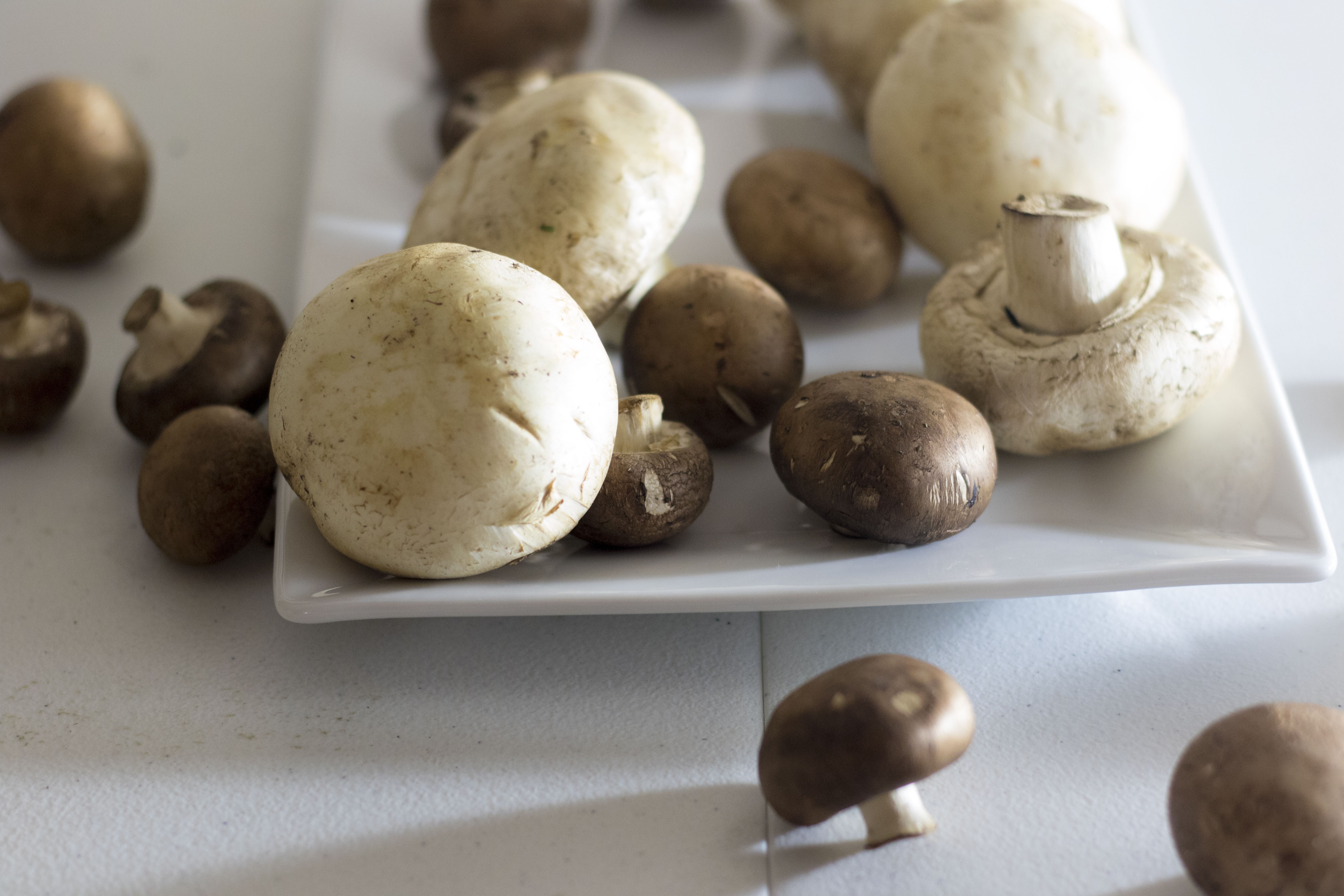 Vermouth Sauteed Mushrooms Recipe - Chef Shamy