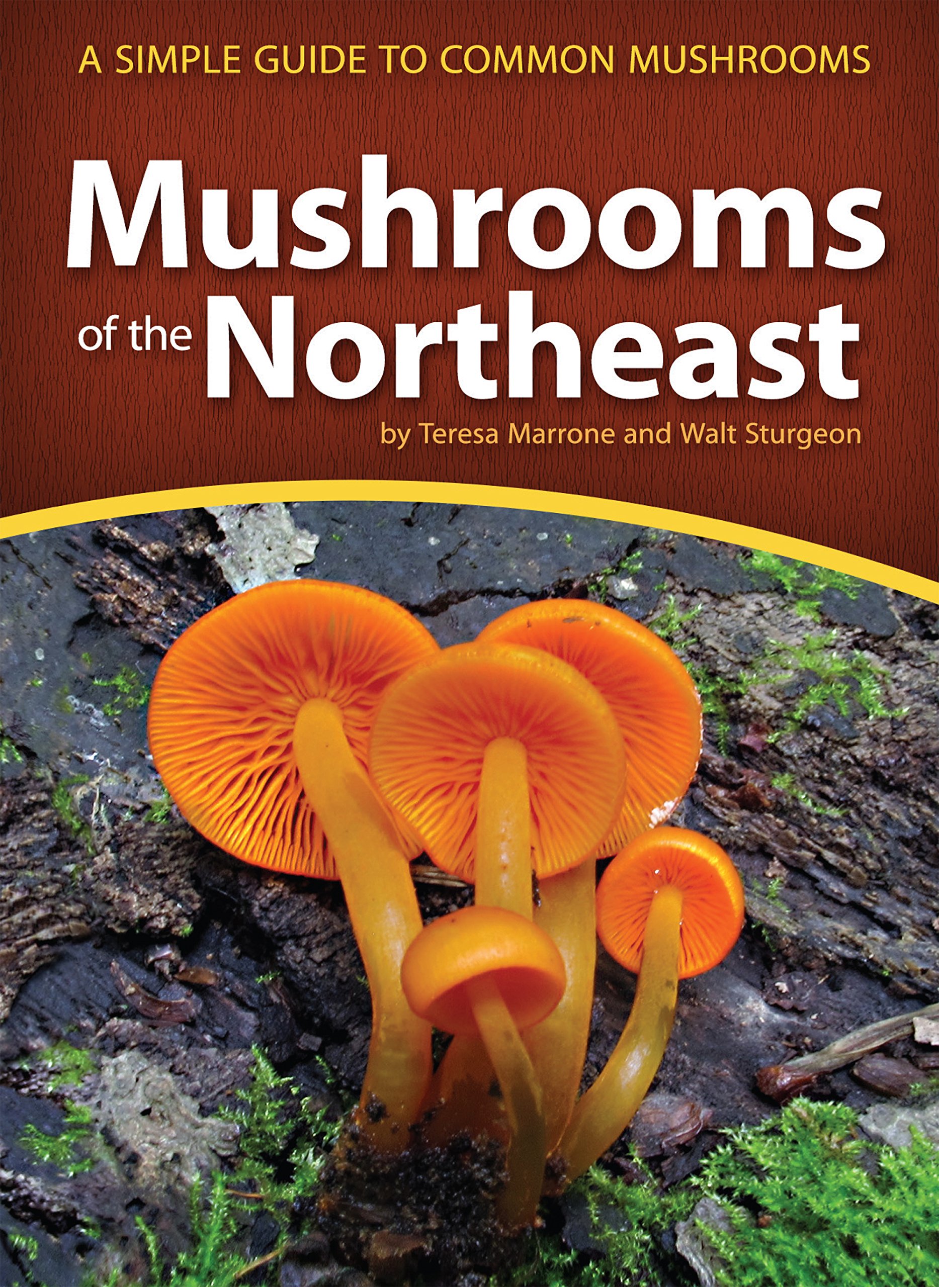 Mushrooms of the Northeast: A Simple Guide to Common Mushrooms ...