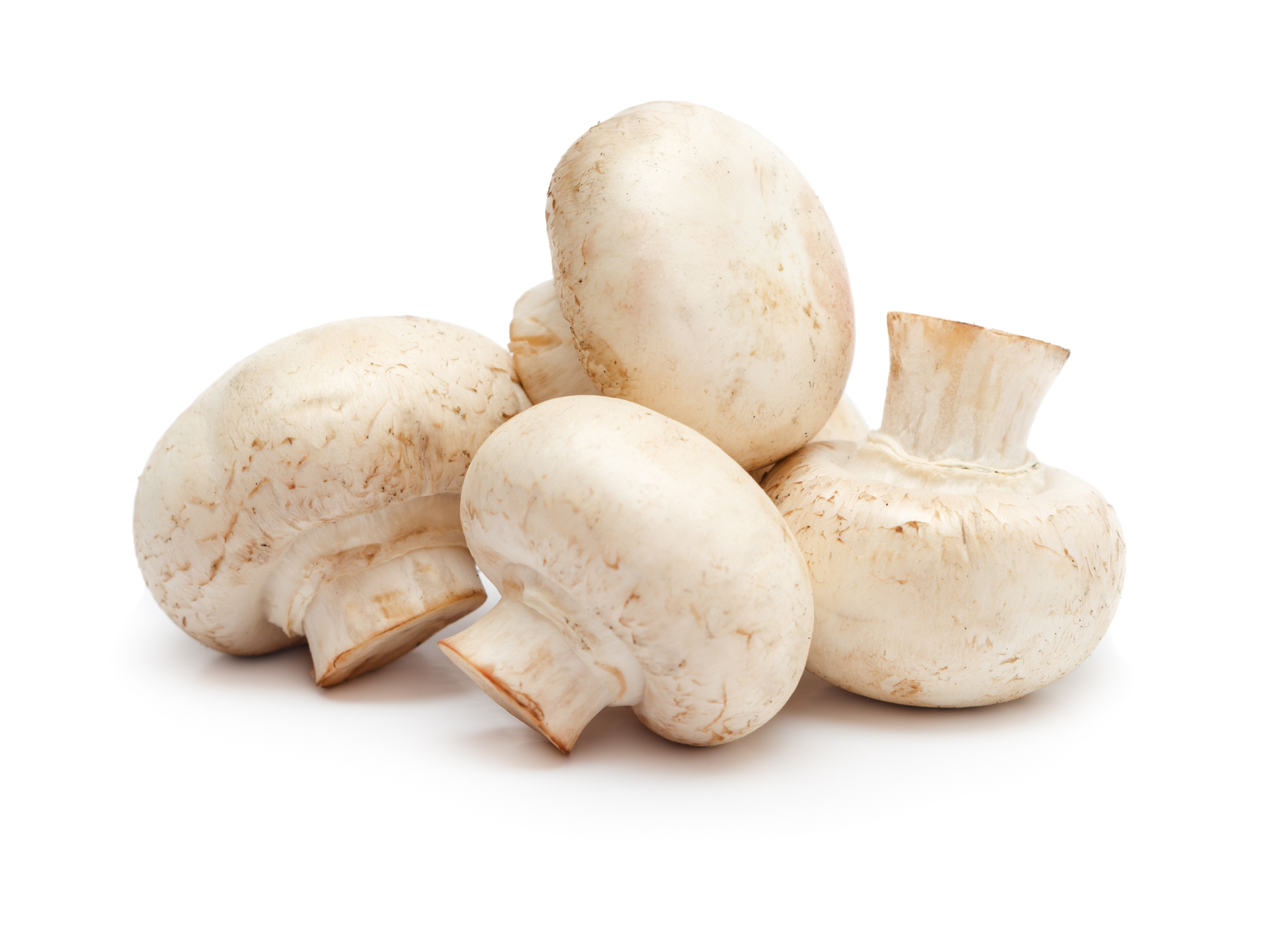 10+ ways medicinal mushrooms protect your body - Easy Health Options®