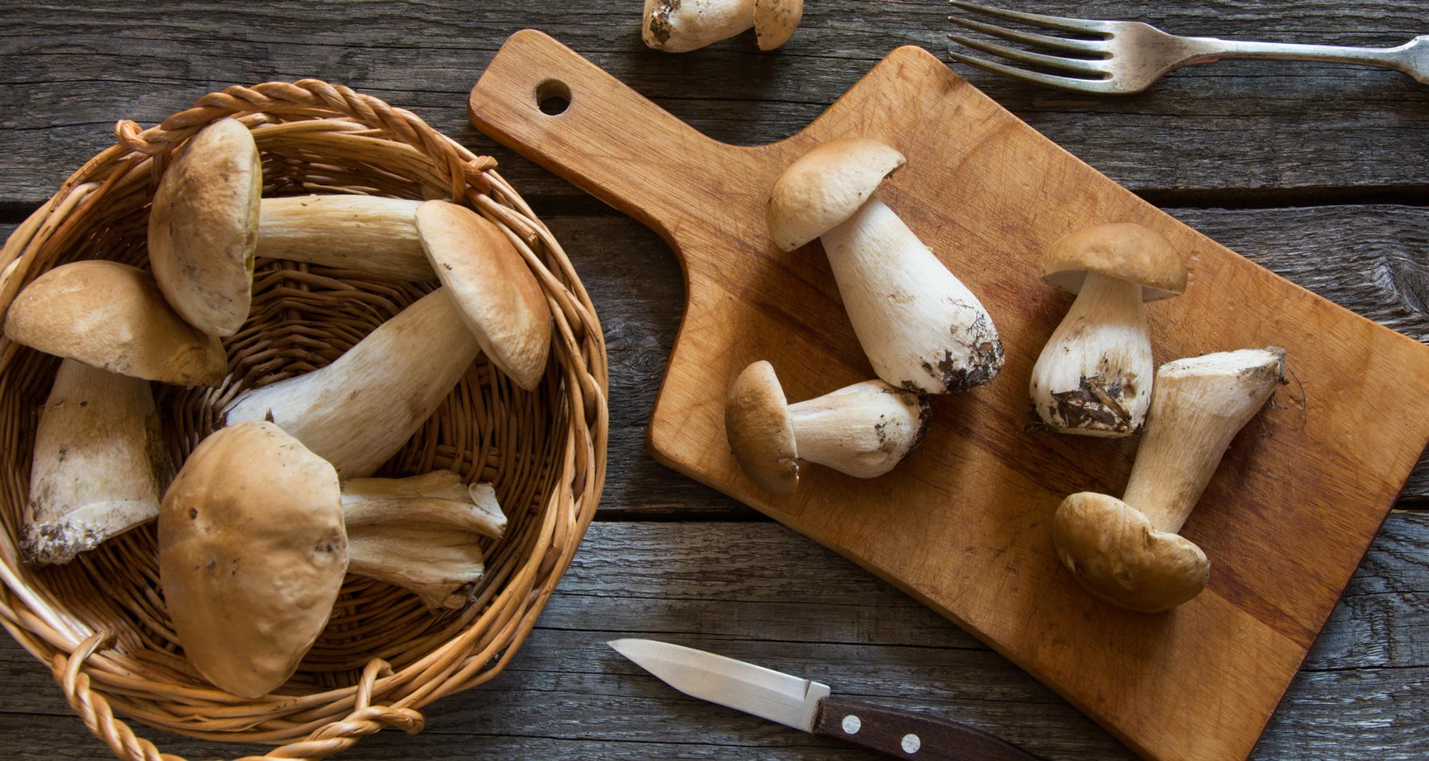 Best Mushrooms to Eat: 7 Delicious Mushrooms for Longevity
