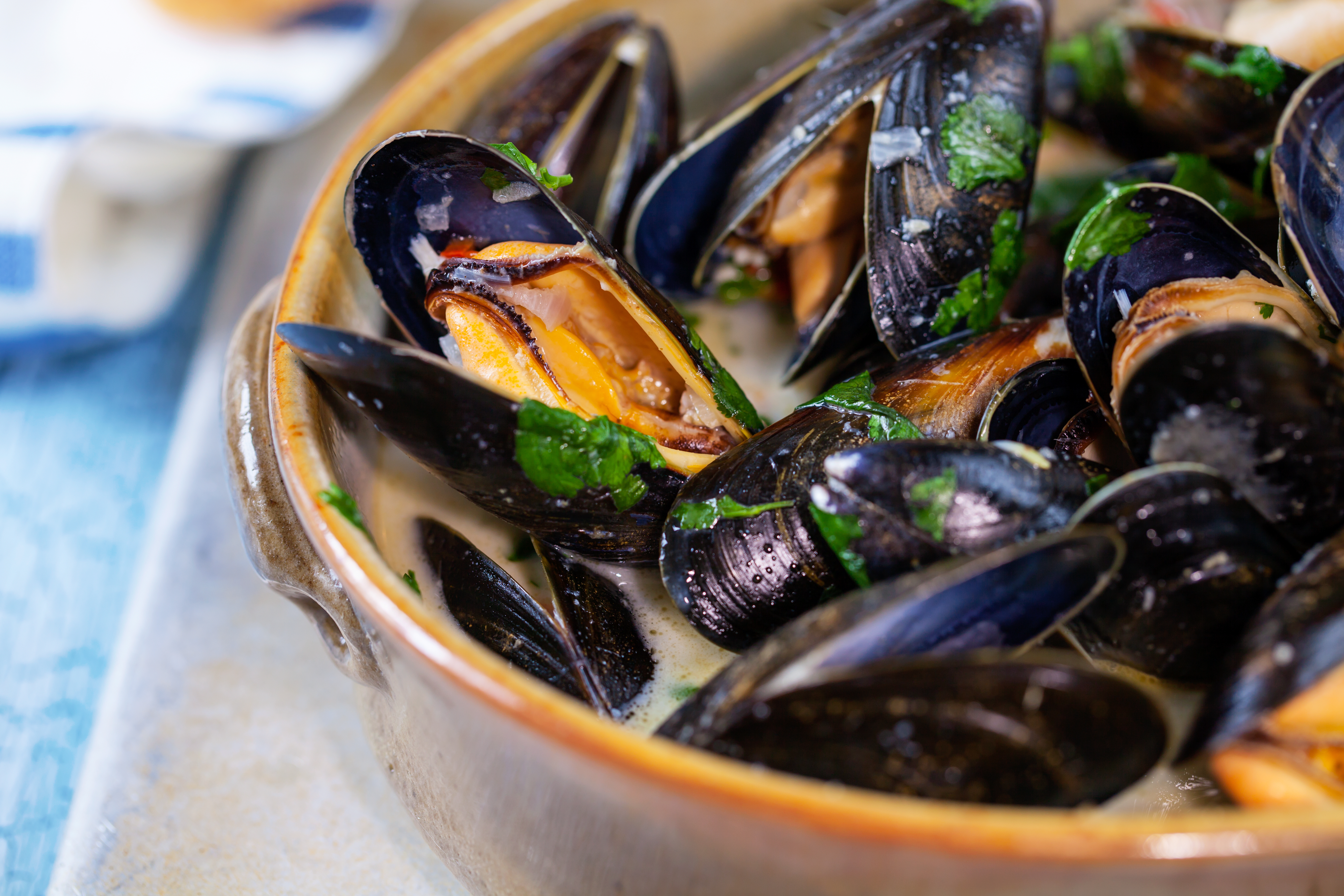 Steamed Mussels/Oysters/Clams