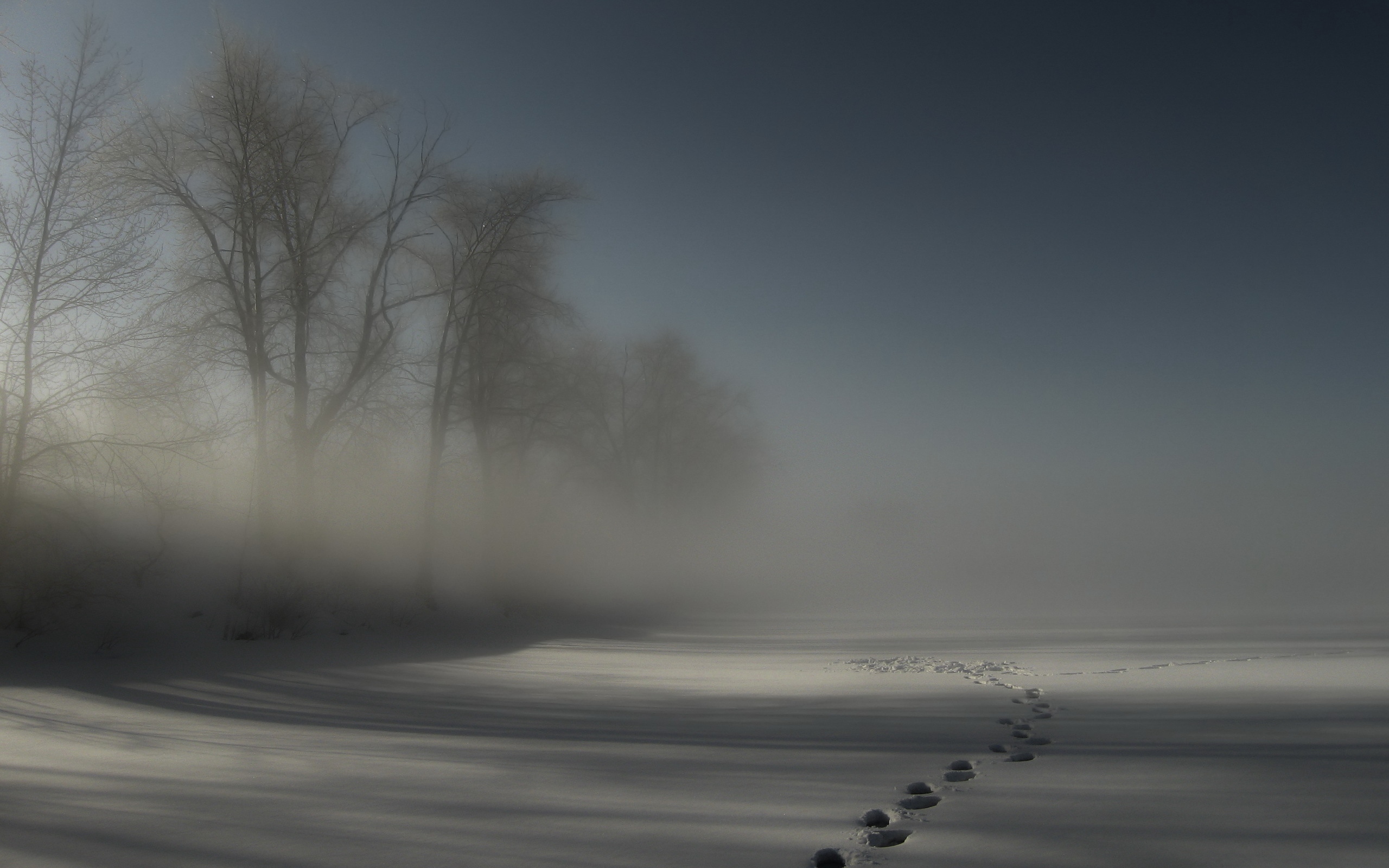 Download wallpaper 2560x1600 tracks, fog, snow, trees, darkness ...