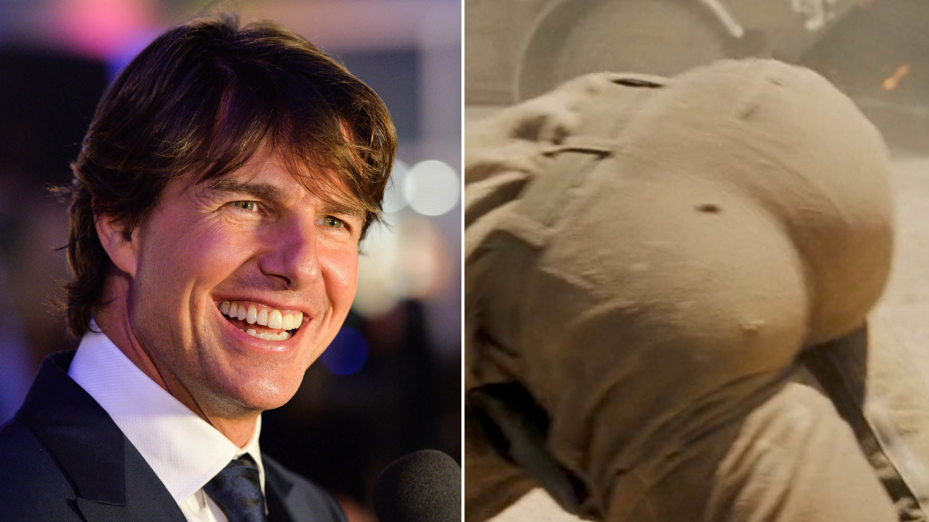 Tom Cruise niega que su trasero sea falso - PMCanal5 Producción