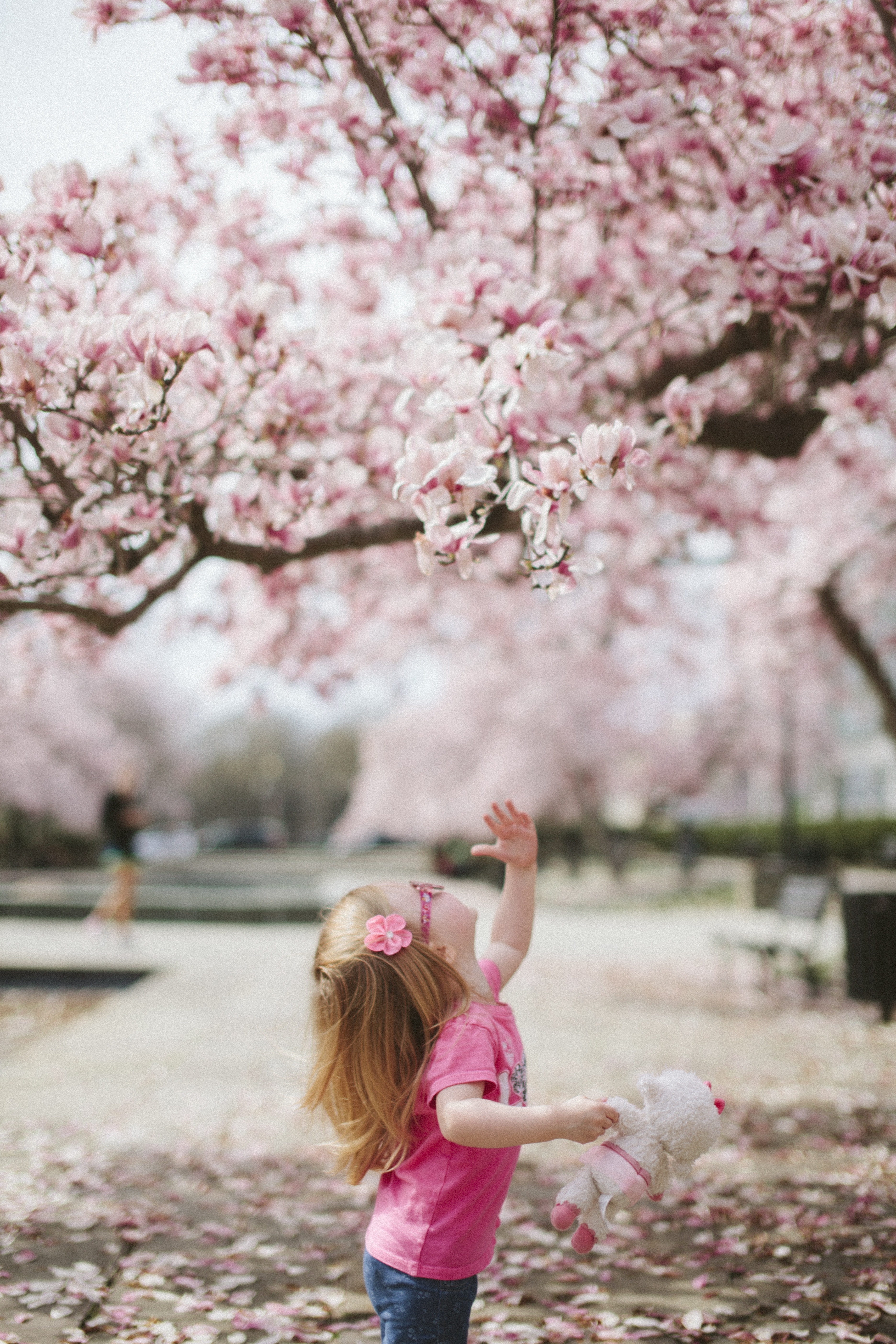 Happy Young Girl In Blooming Cherry Blossoms Garden |