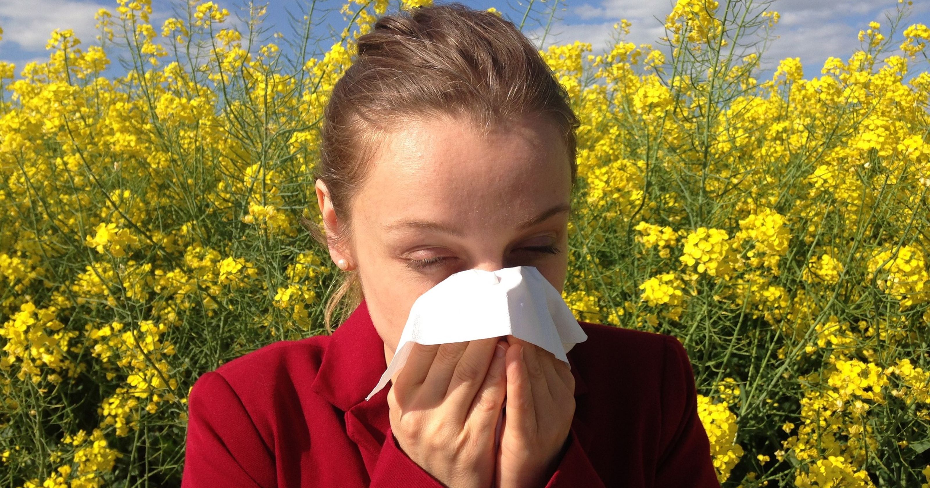 Nashville is an 'Allergy Capital.' Here's how to survive