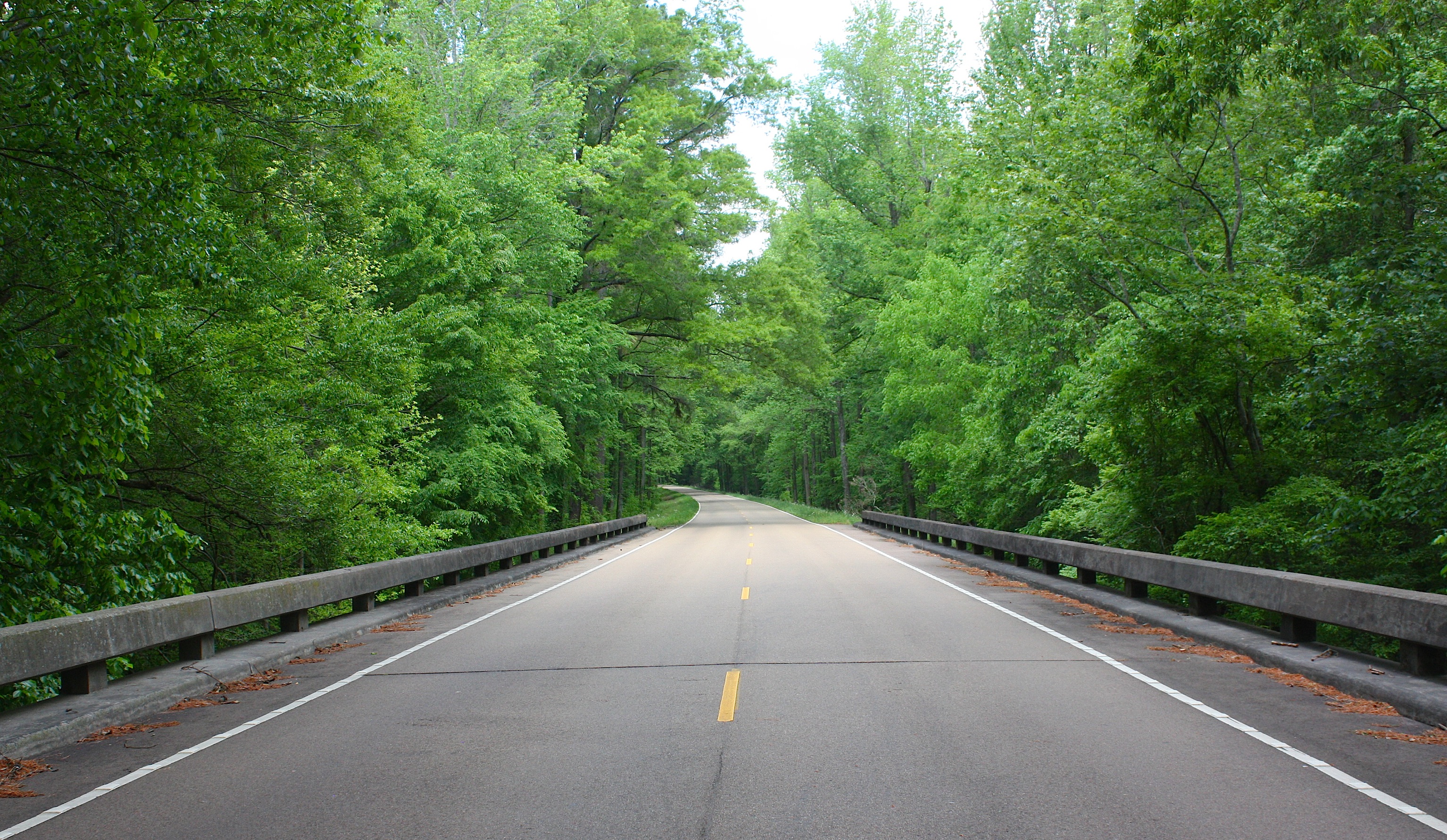 The Natchez Trace Parkway | Iowa Girl on the Go