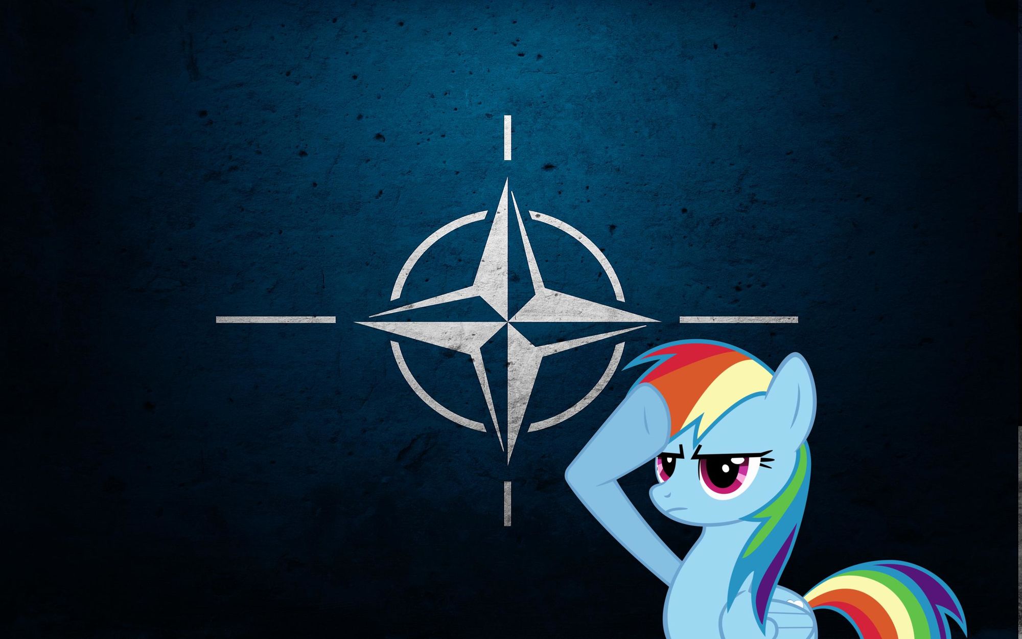 Image - NATO-Grunge-Flag-2560x1600.jpg | Tails Doll Wiki | FANDOM ...