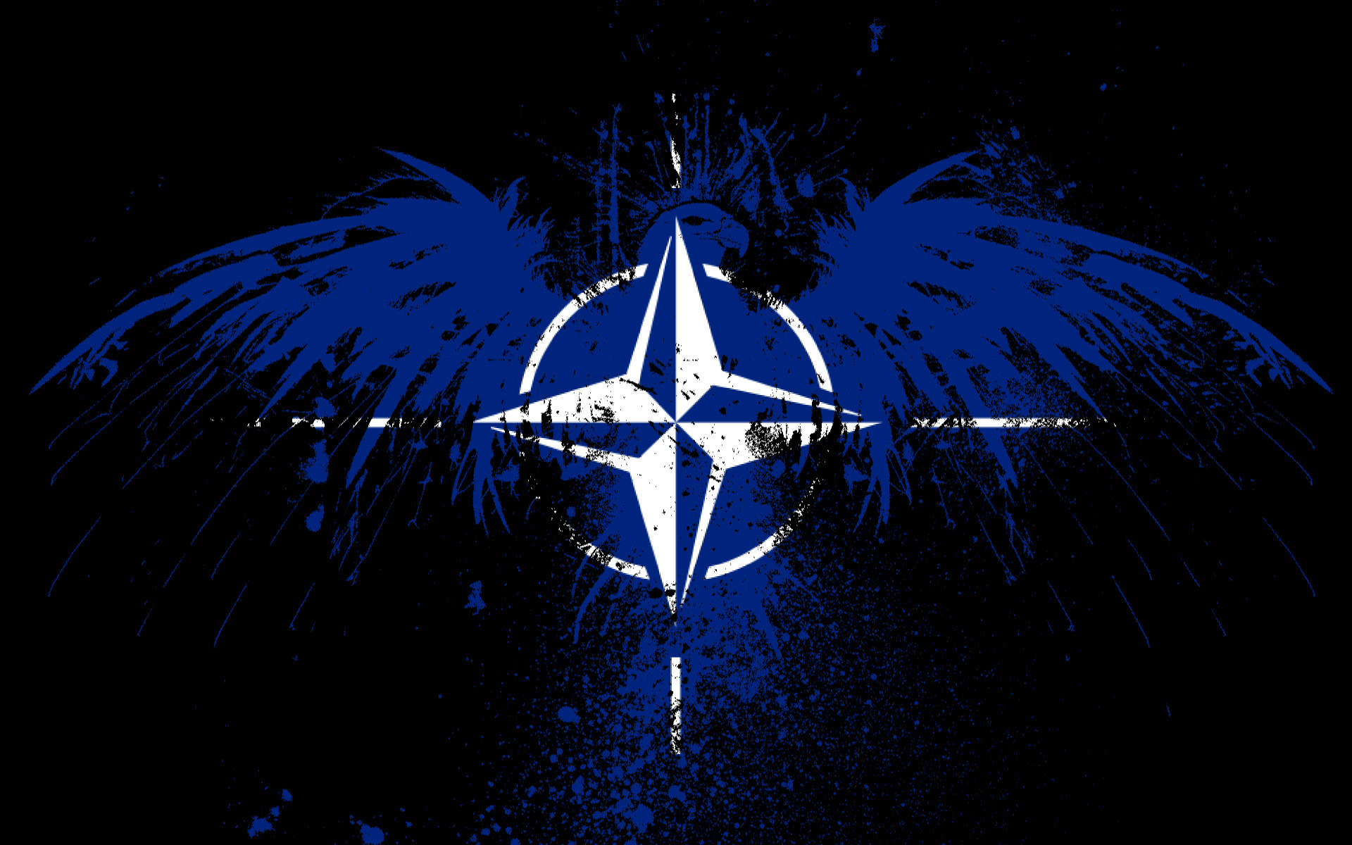 NATO logo on a grunge falcon